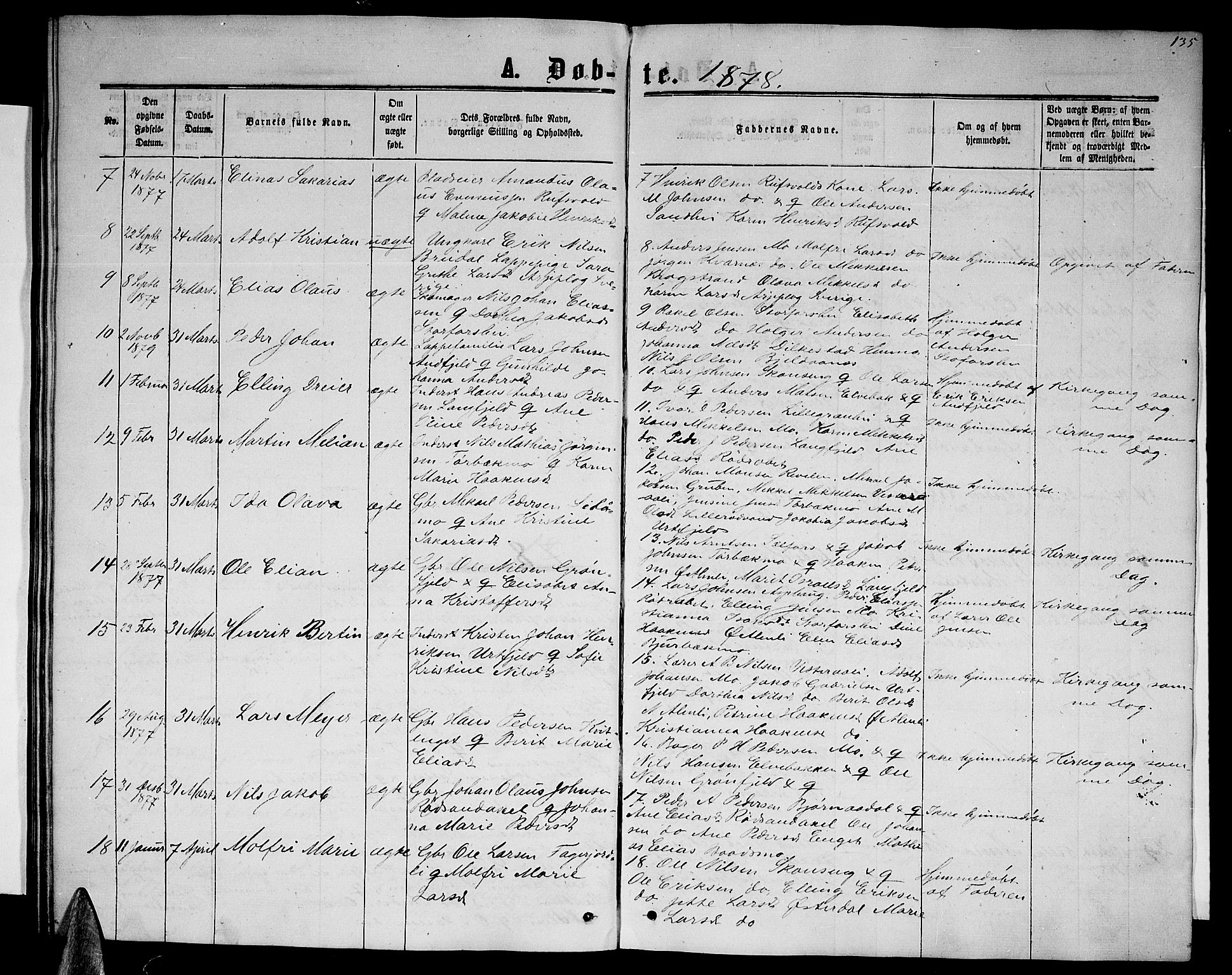 Ministerialprotokoller, klokkerbøker og fødselsregistre - Nordland, SAT/A-1459/827/L0415: Parish register (copy) no. 827C04, 1864-1886, p. 135