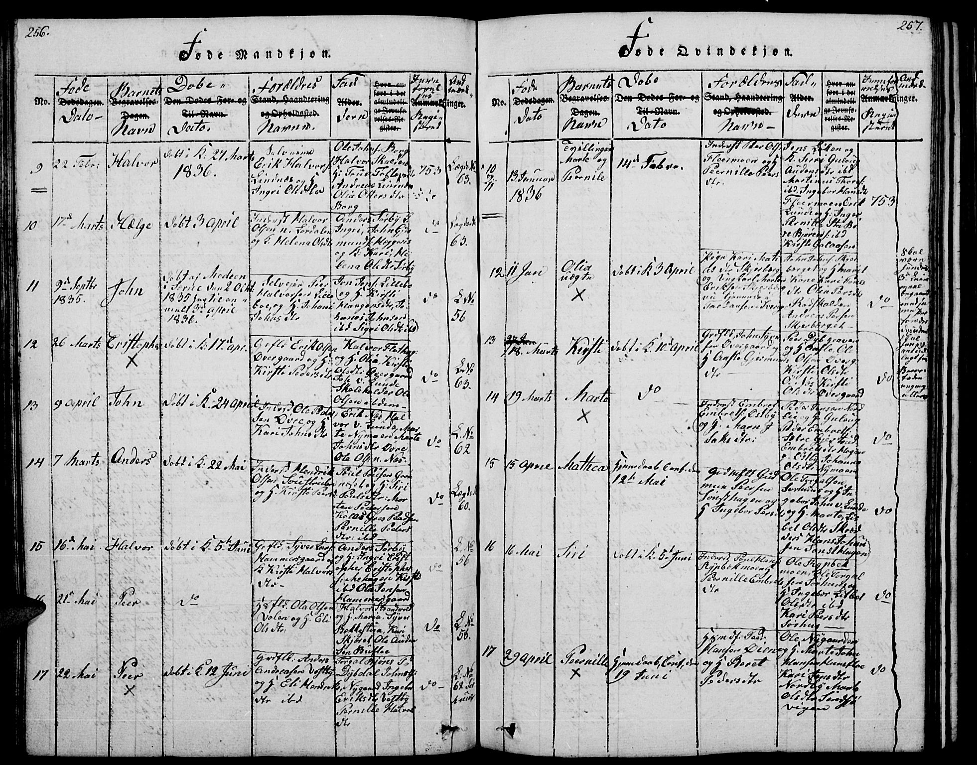 Trysil prestekontor, AV/SAH-PREST-046/H/Ha/Hab/L0004: Parish register (copy) no. 4, 1814-1841, p. 256-257