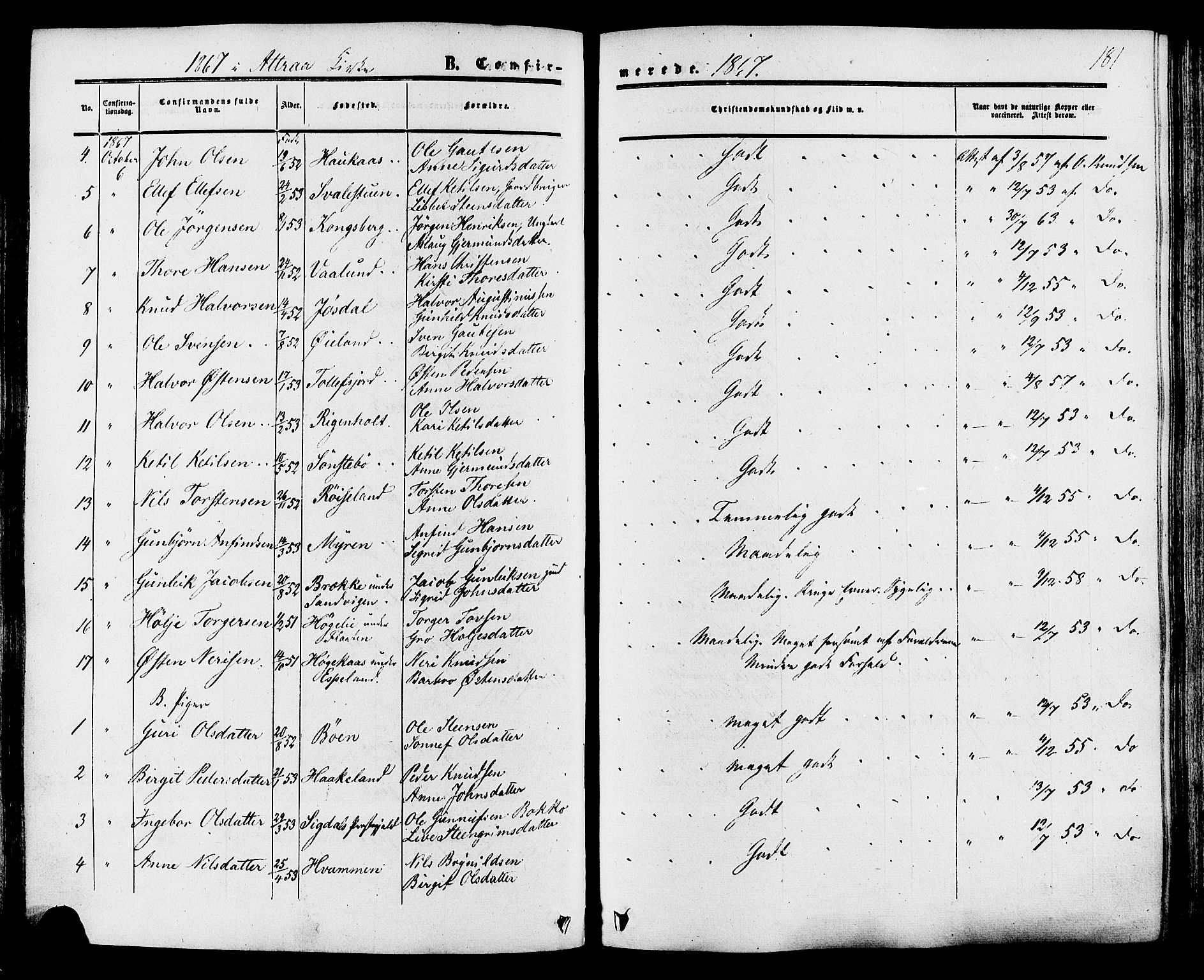 Tinn kirkebøker, SAKO/A-308/F/Fa/L0006: Parish register (official) no. I 6, 1857-1878, p. 181