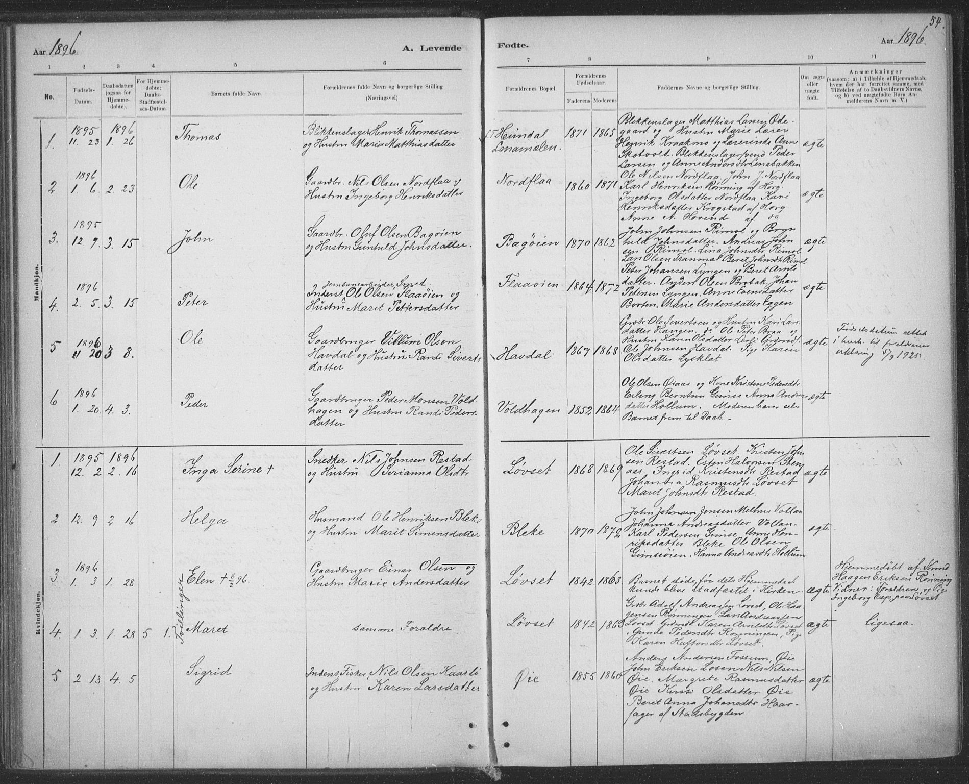 Ministerialprotokoller, klokkerbøker og fødselsregistre - Sør-Trøndelag, SAT/A-1456/691/L1085: Parish register (official) no. 691A17, 1887-1908, p. 54