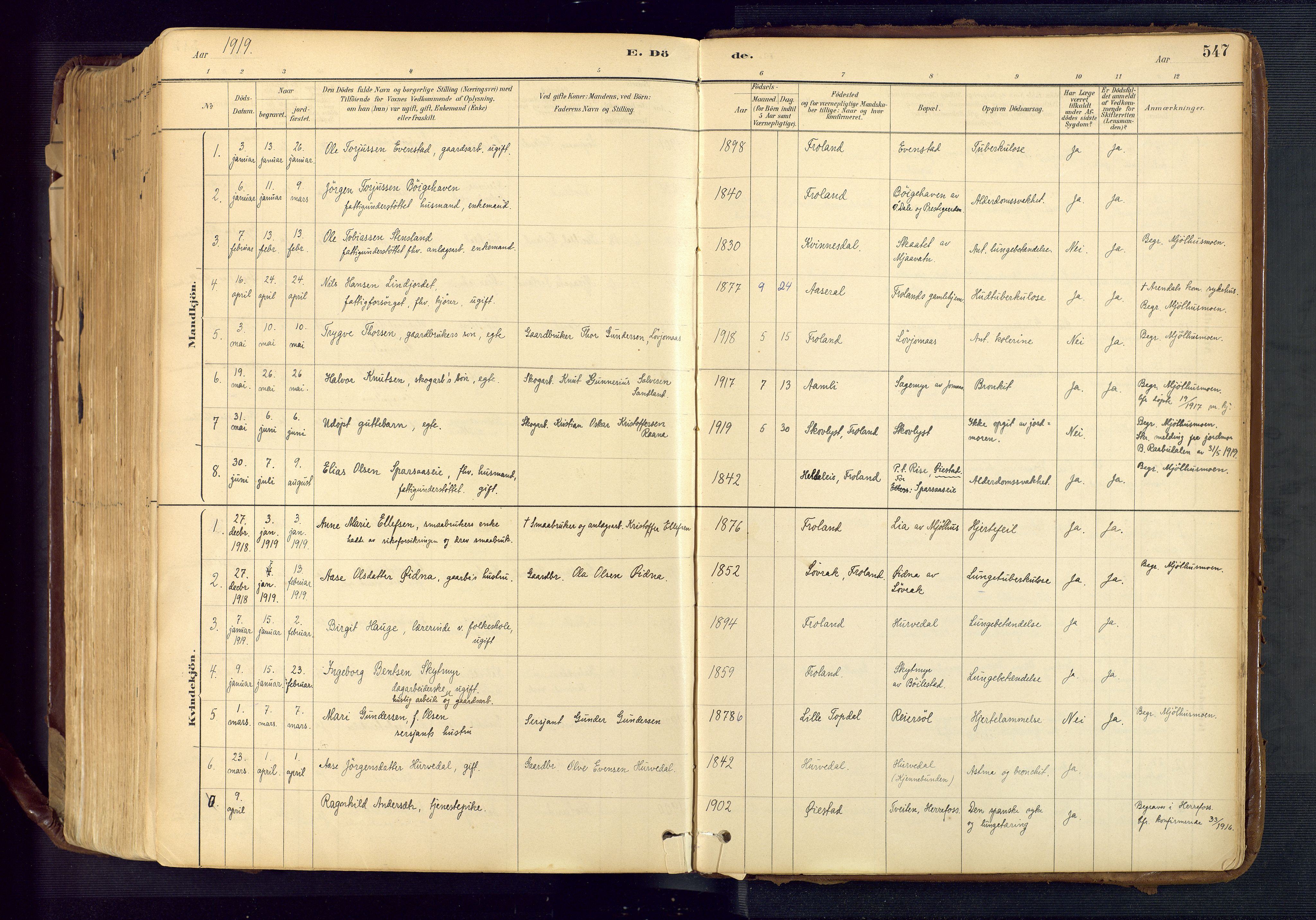 Froland sokneprestkontor, SAK/1111-0013/F/Fa/L0005: Parish register (official) no. A 5, 1882-1921, p. 547