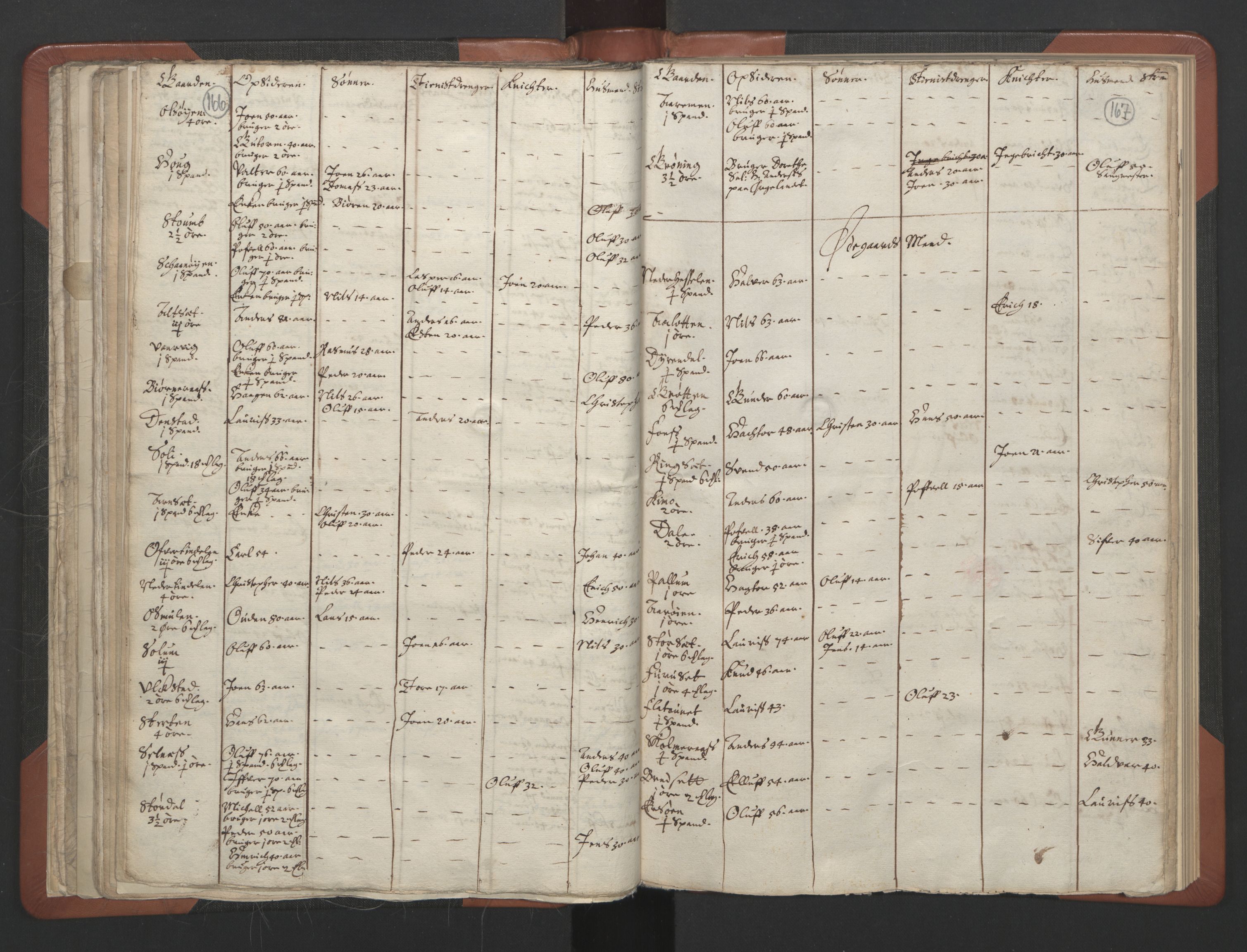 RA, Vicar's Census 1664-1666, no. 30: Fosen deanery, 1664-1666, p. 166-167