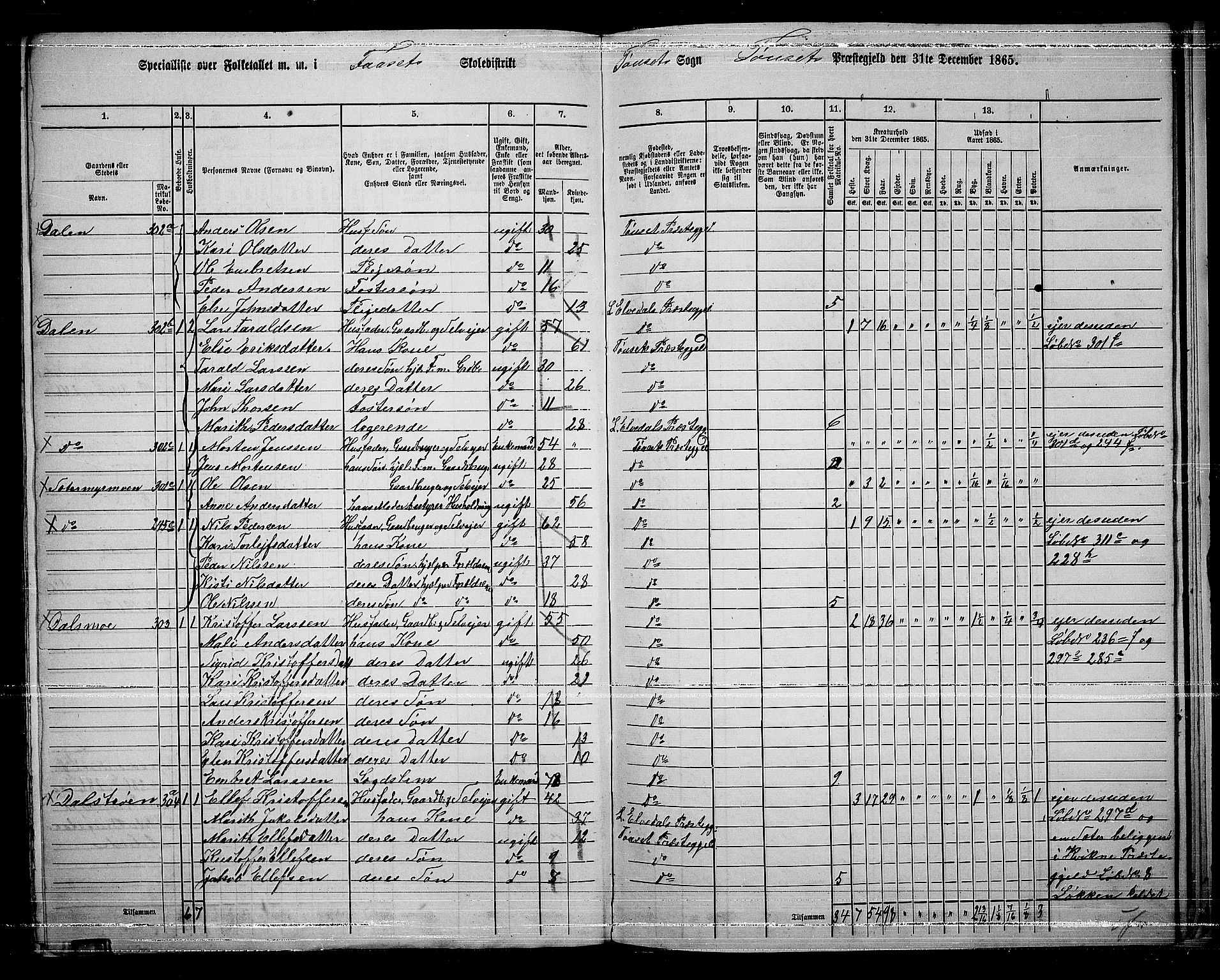 RA, 1865 census for Tynset, 1865, p. 118