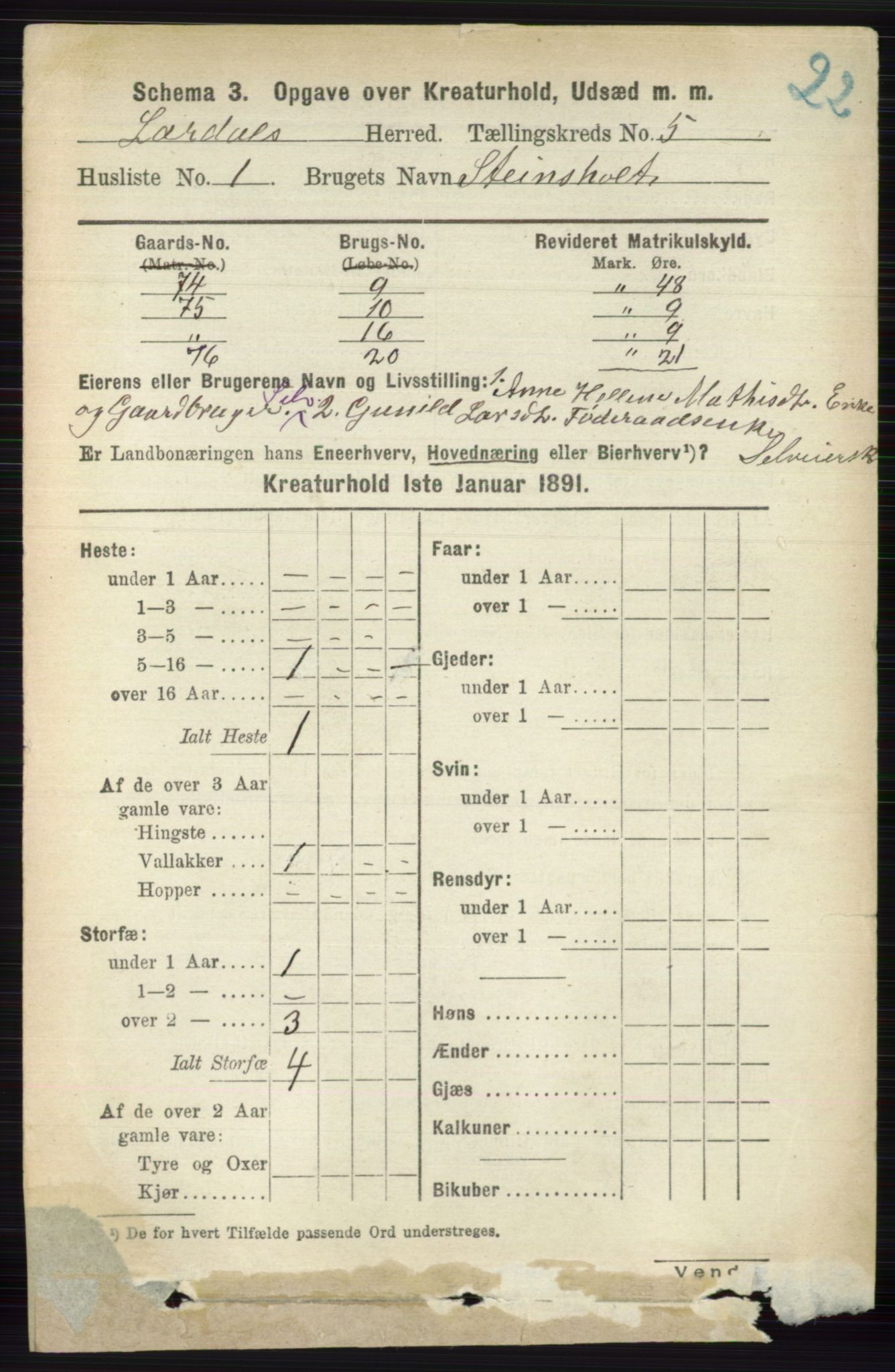 RA, 1891 census for 0728 Lardal, 1891, p. 4037