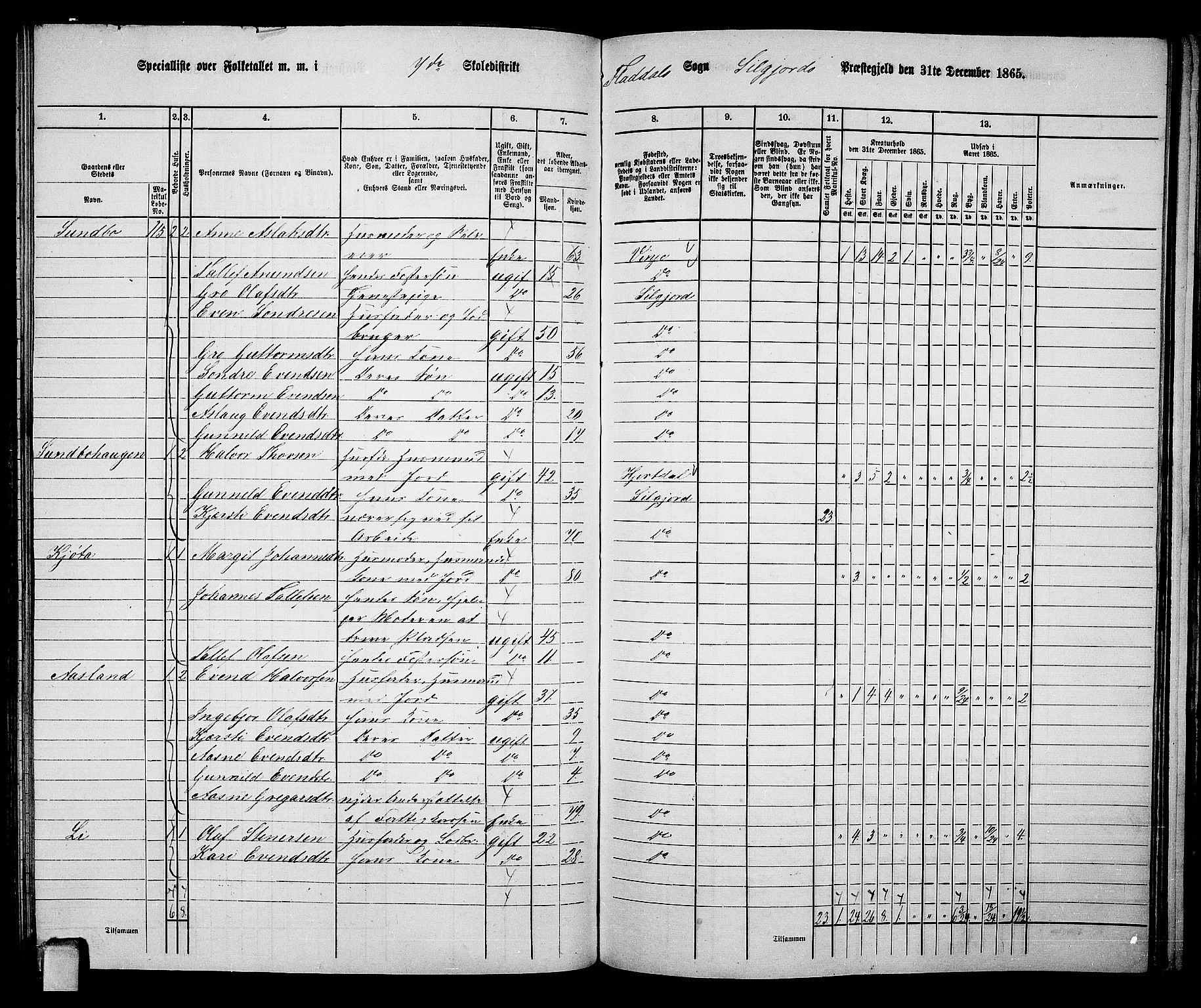 RA, 1865 census for Seljord, 1865, p. 101