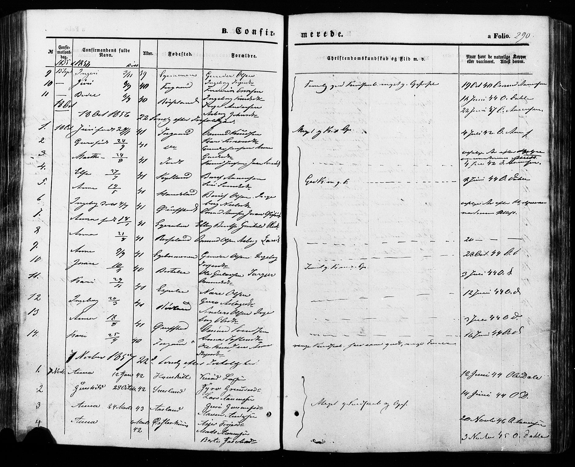 Åseral sokneprestkontor, SAK/1111-0051/F/Fa/L0002: Parish register (official) no. A 2, 1854-1884, p. 290