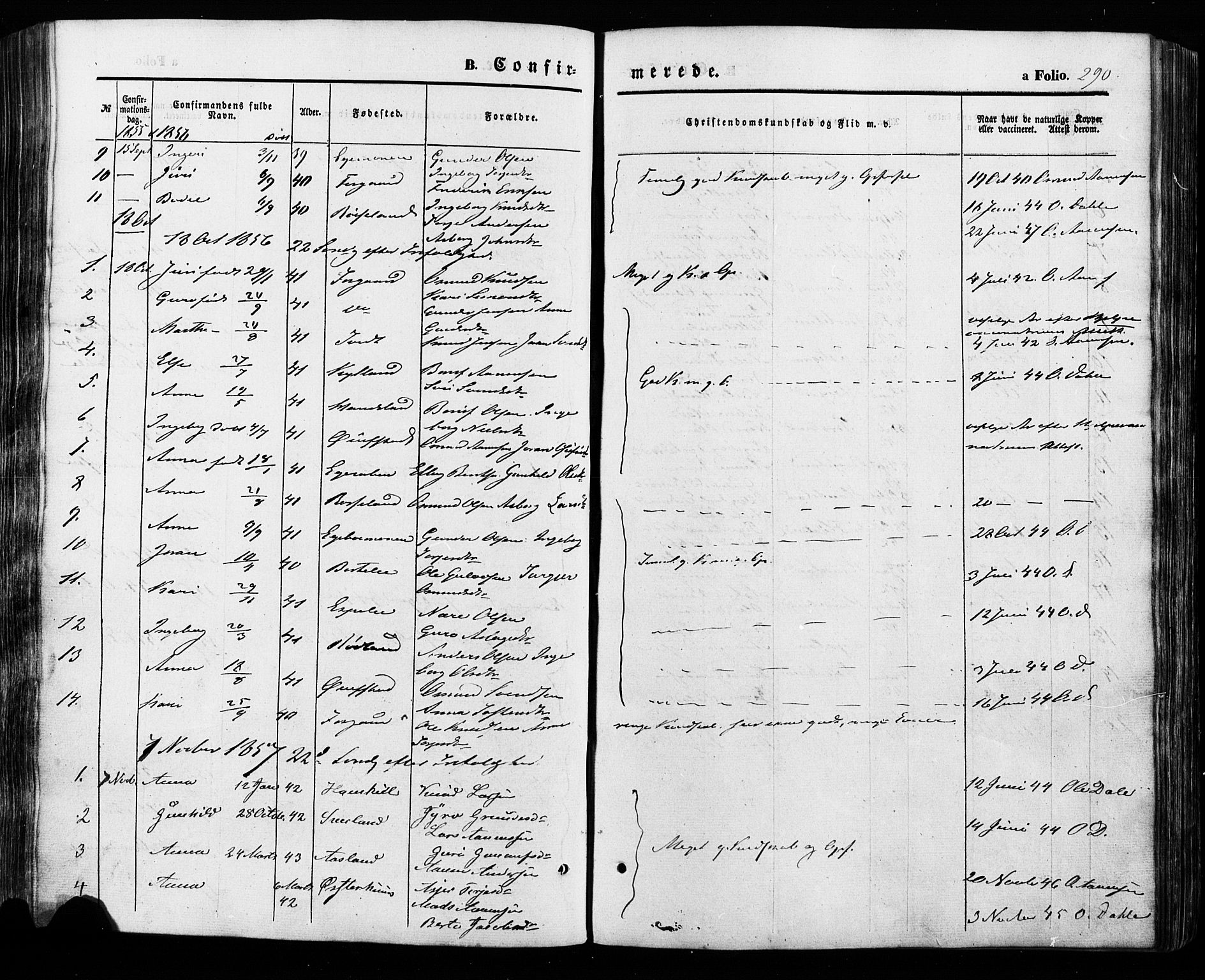 Åseral sokneprestkontor, AV/SAK-1111-0051/F/Fa/L0002: Parish register (official) no. A 2, 1854-1884, p. 290