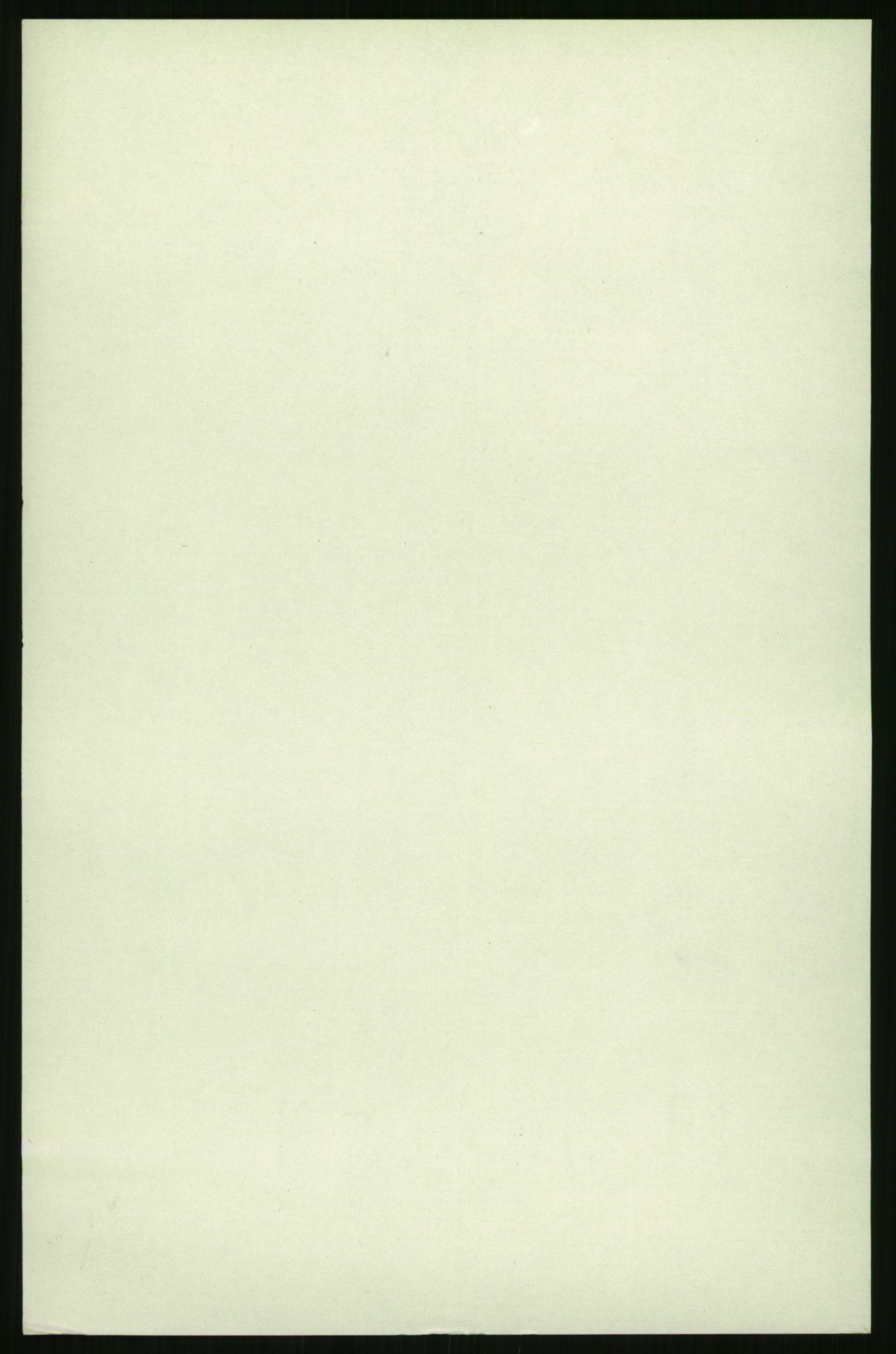 RA, 1891 census for 1701 Levanger, 1891, p. 878