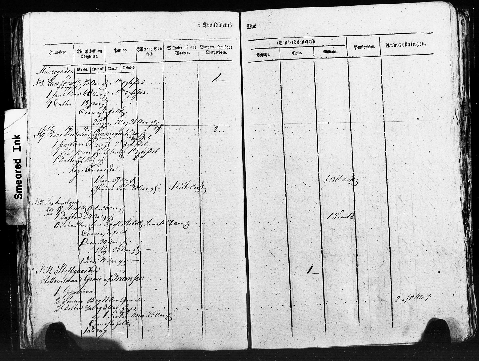 SAT, Census 1815 for Trondheim (transcript), 1815, p. 248