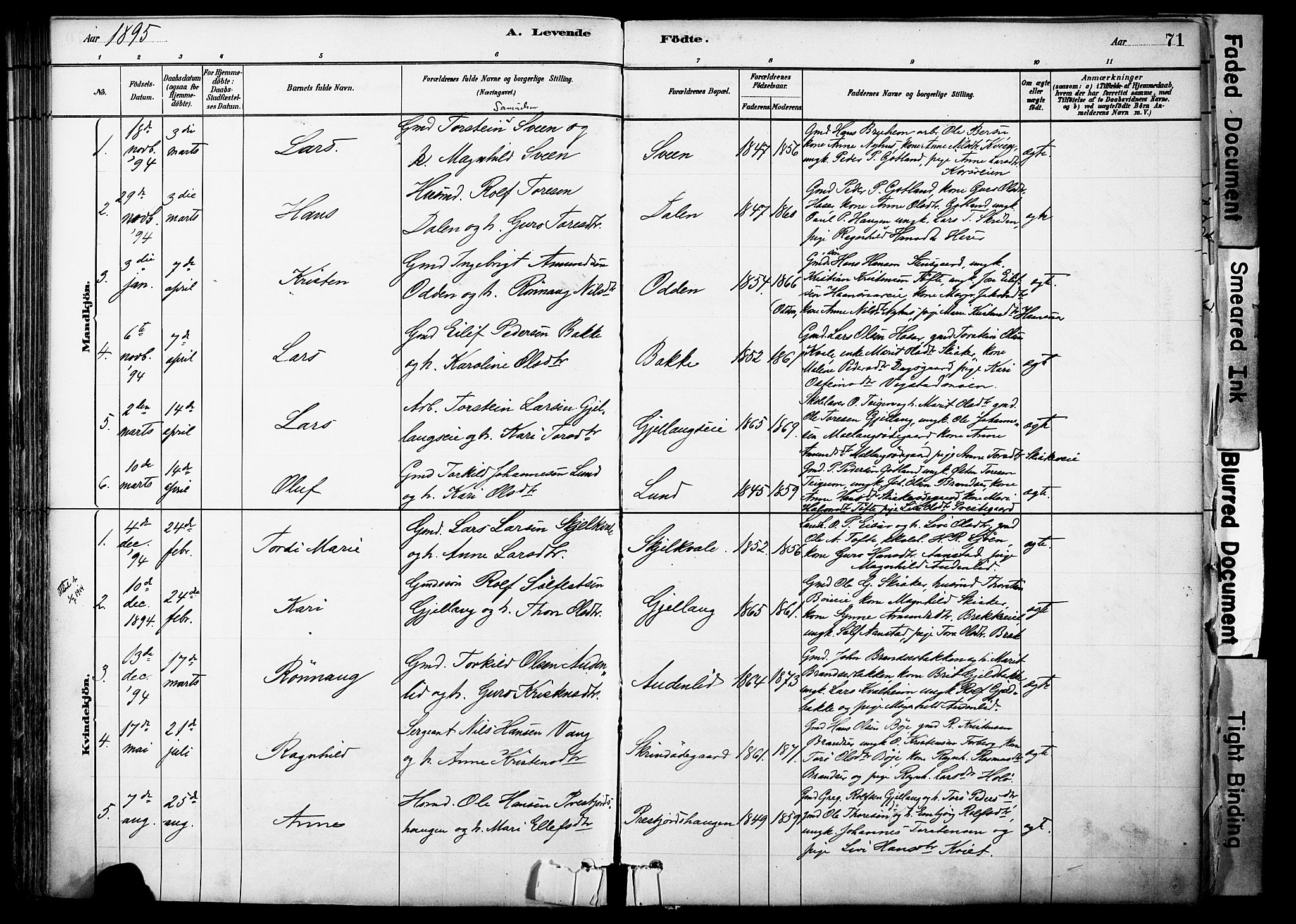 Skjåk prestekontor, SAH/PREST-072/H/Ha/Haa/L0003: Parish register (official) no. 3, 1880-1907, p. 71