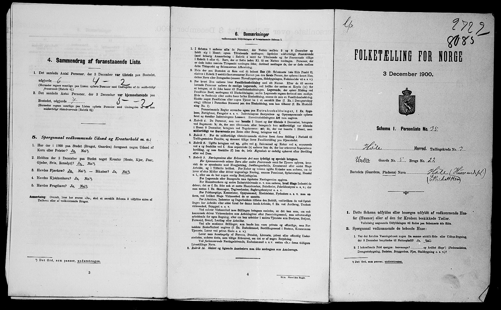 SAST, 1900 census for Høle, 1900, p. 31