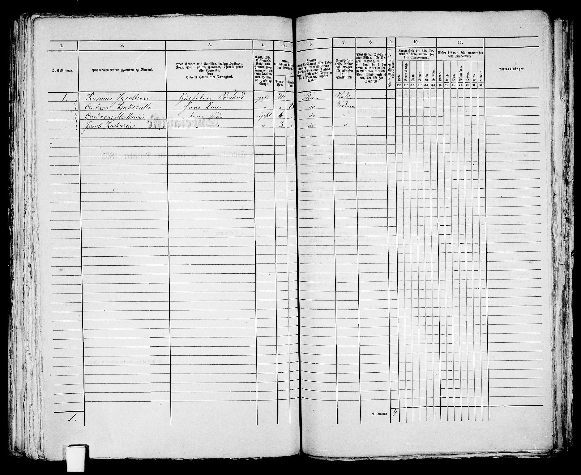 RA, 1865 census for Skien, 1865, p. 1106