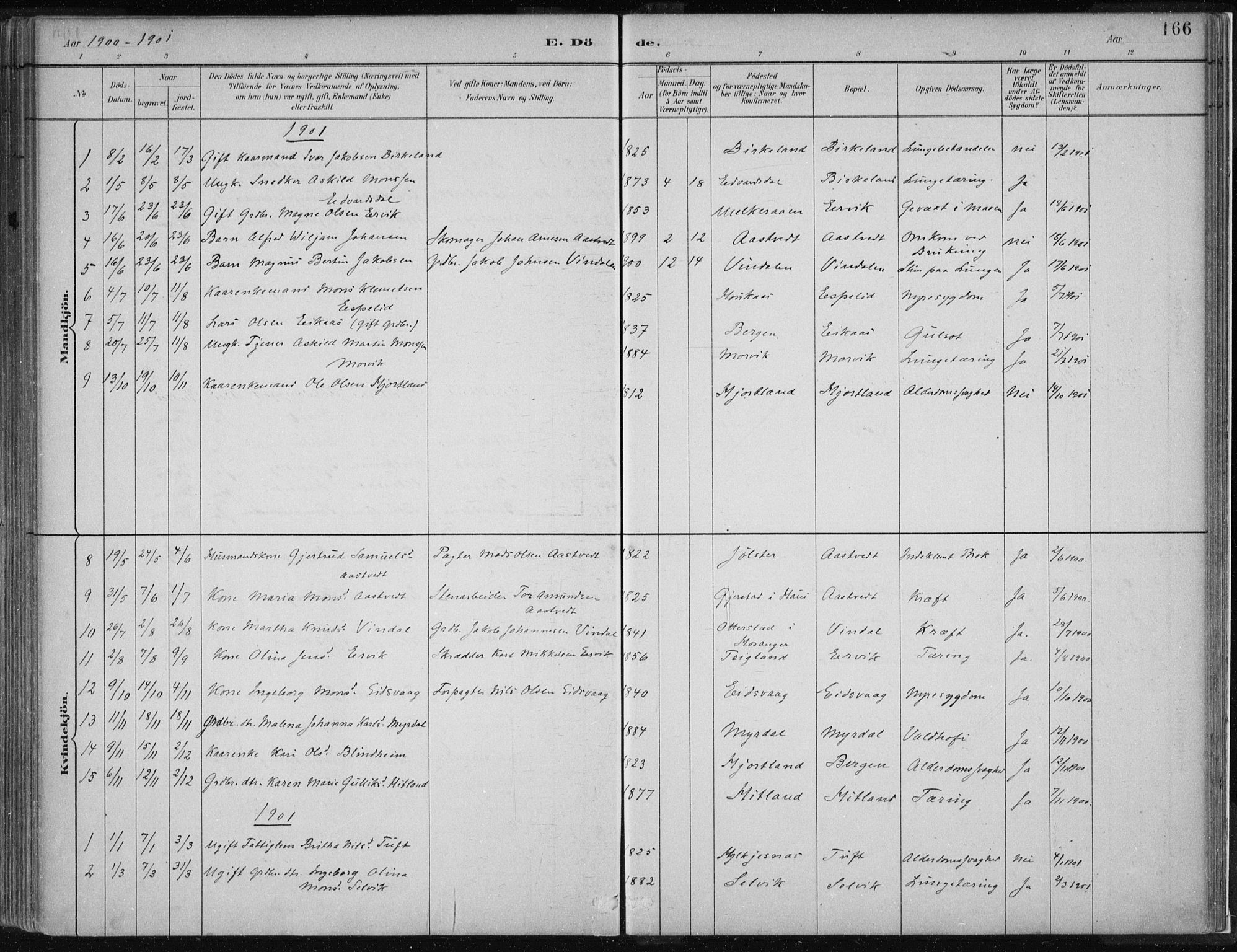 Hamre sokneprestembete, SAB/A-75501/H/Ha/Haa/Haad/L0001: Parish register (official) no. D  1, 1882-1906, p. 166