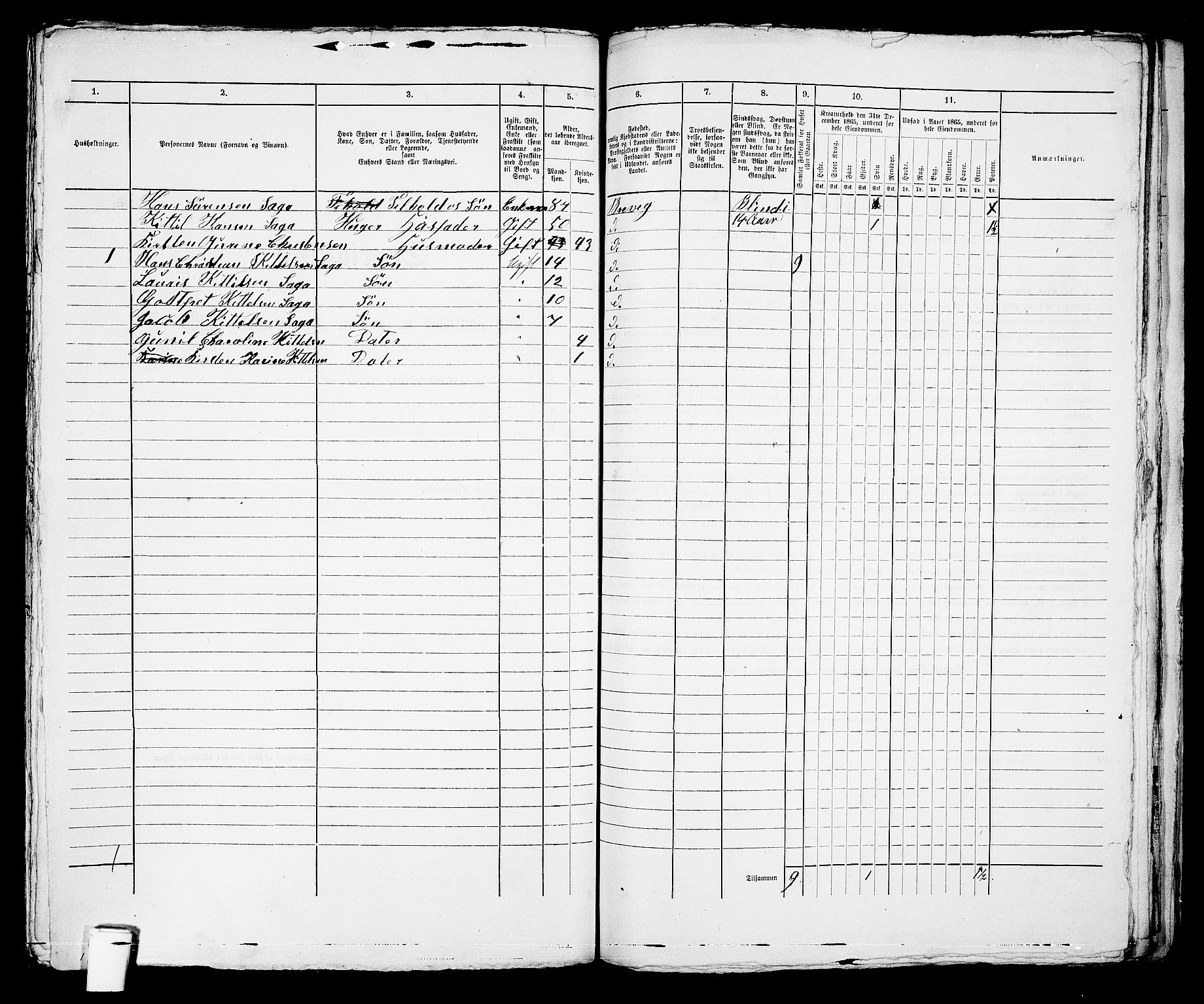 RA, 1865 census for Brevik, 1865, p. 330