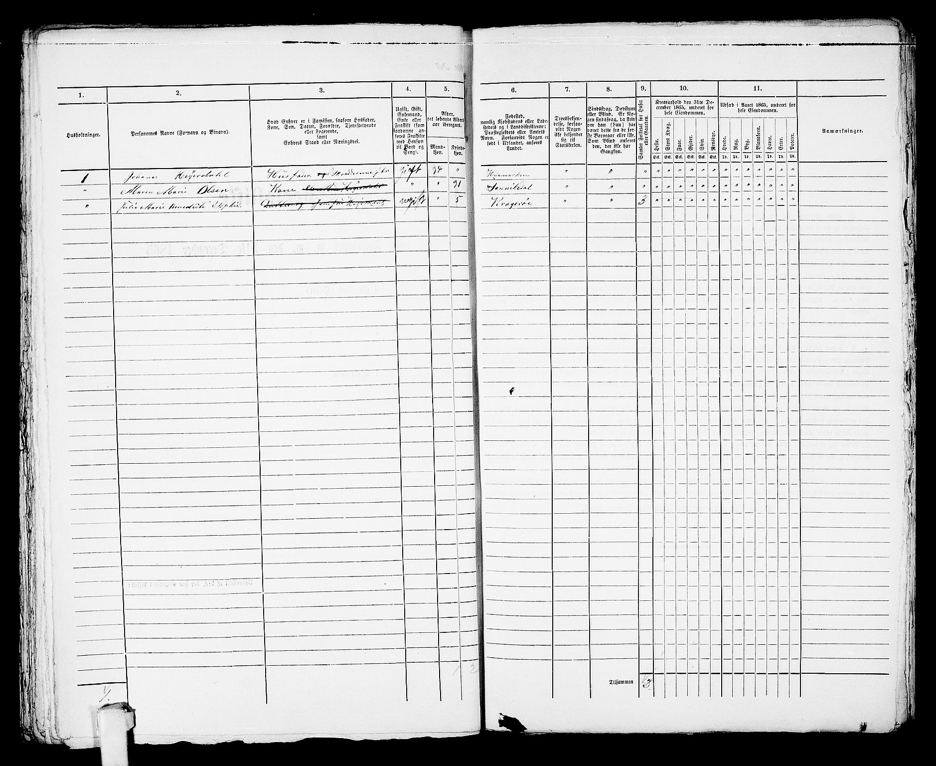 RA, 1865 census for Kragerø/Kragerø, 1865, p. 985