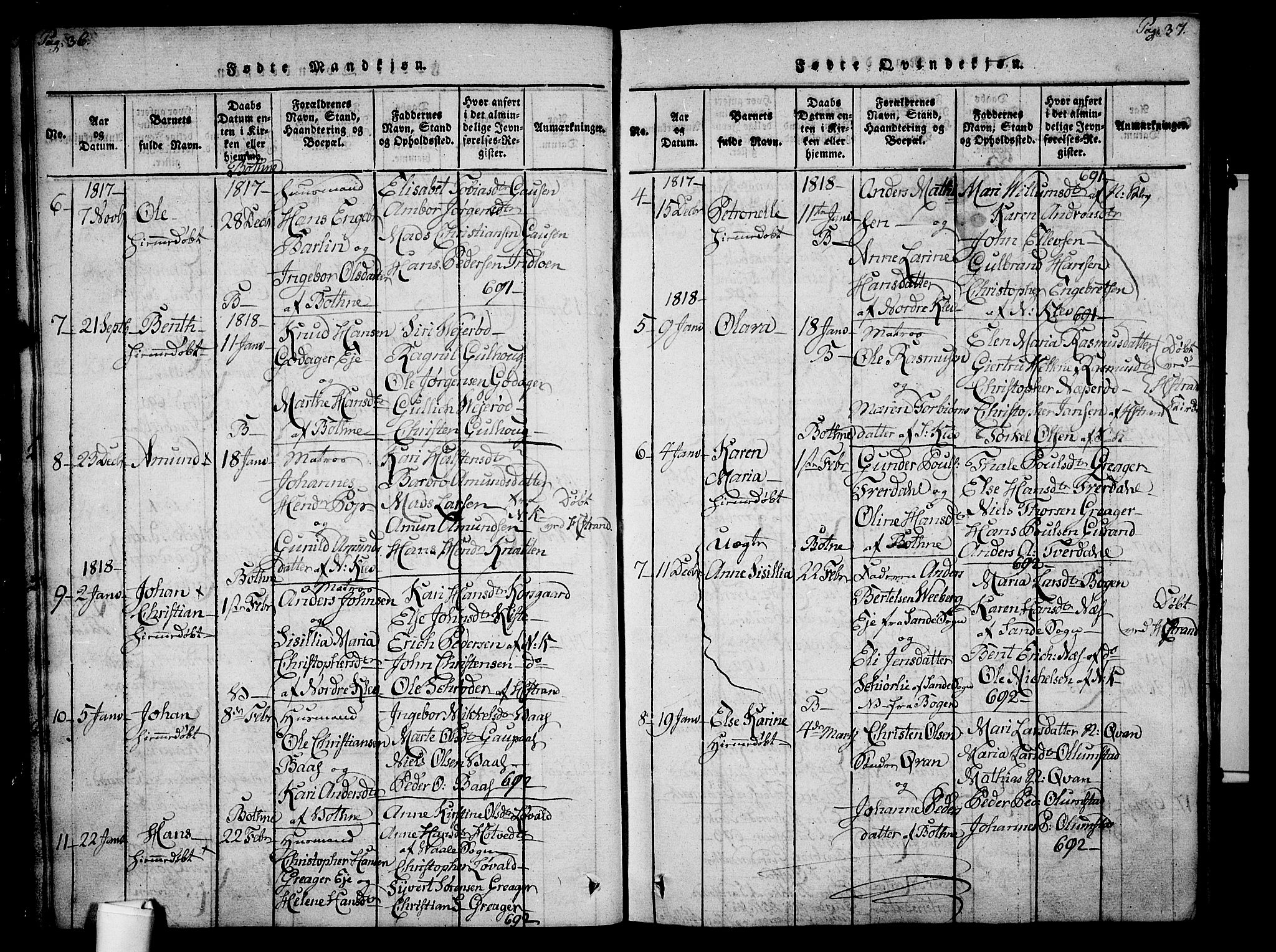 Botne kirkebøker, SAKO/A-340/F/Fa/L0005: Parish register (official) no. I 5, 1814-1836, p. 36-37