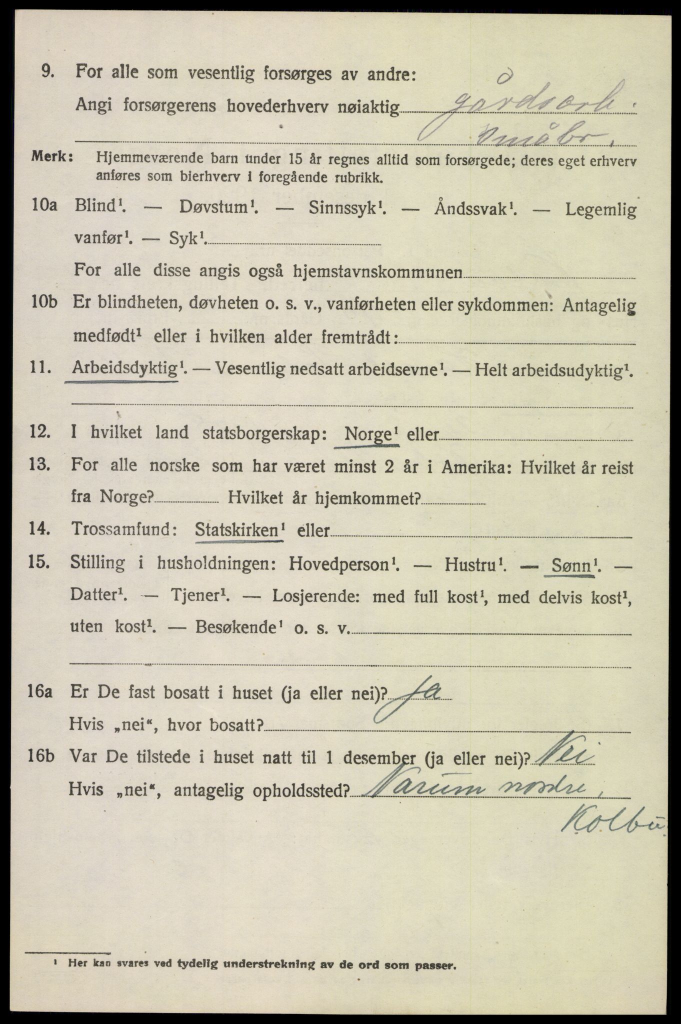 SAH, 1920 census for Kolbu, 1920, p. 5939