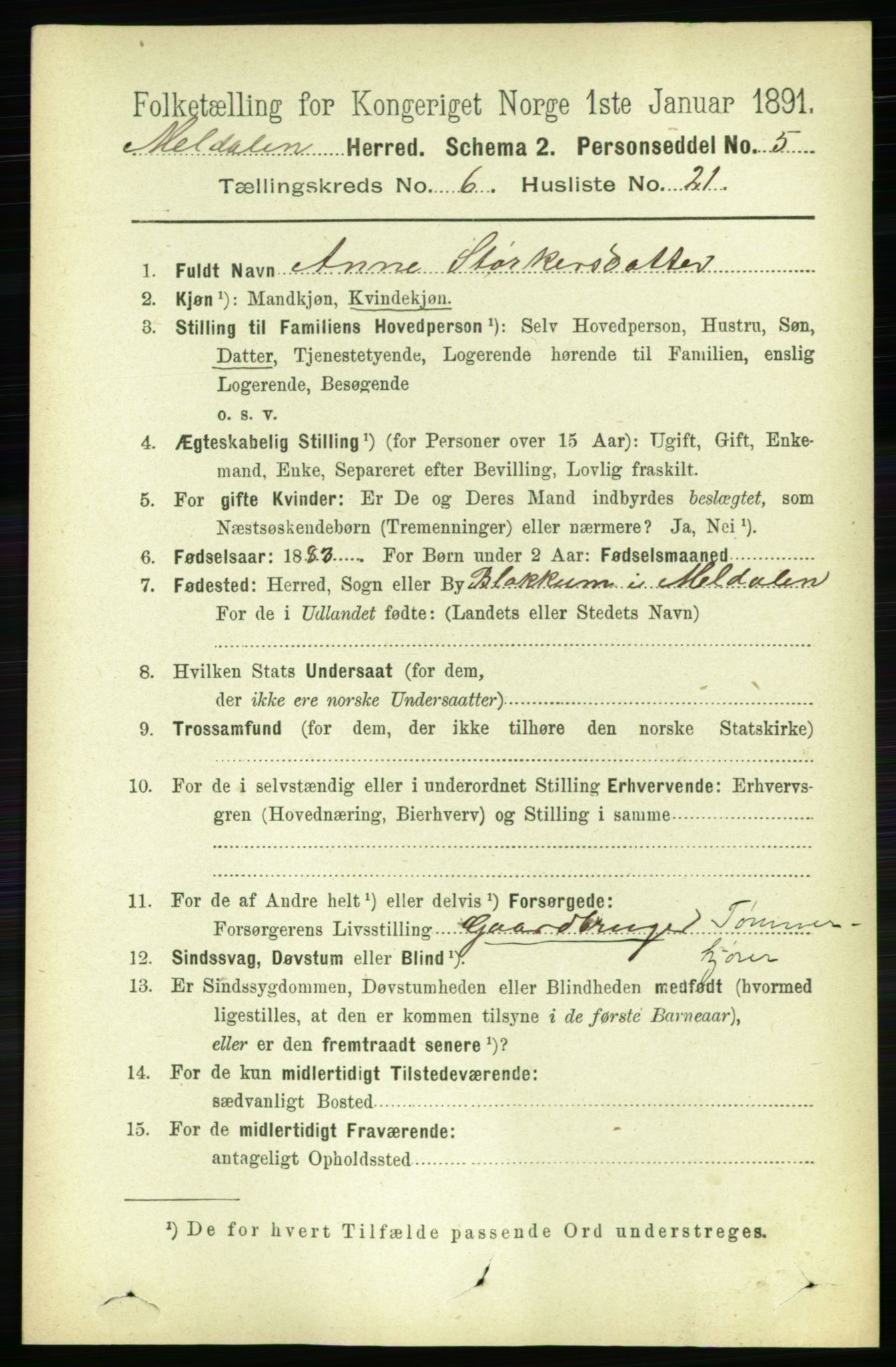 RA, 1891 census for 1636 Meldal, 1891, p. 3002