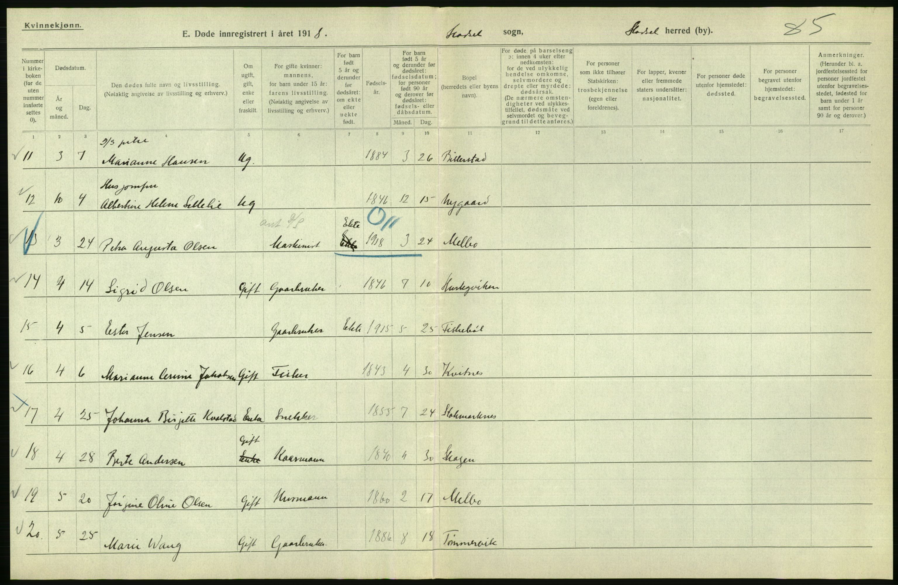 Statistisk sentralbyrå, Sosiodemografiske emner, Befolkning, AV/RA-S-2228/D/Df/Dfb/Dfbh/L0055: Nordland fylke: Døde. Bygder og byer., 1918, p. 650