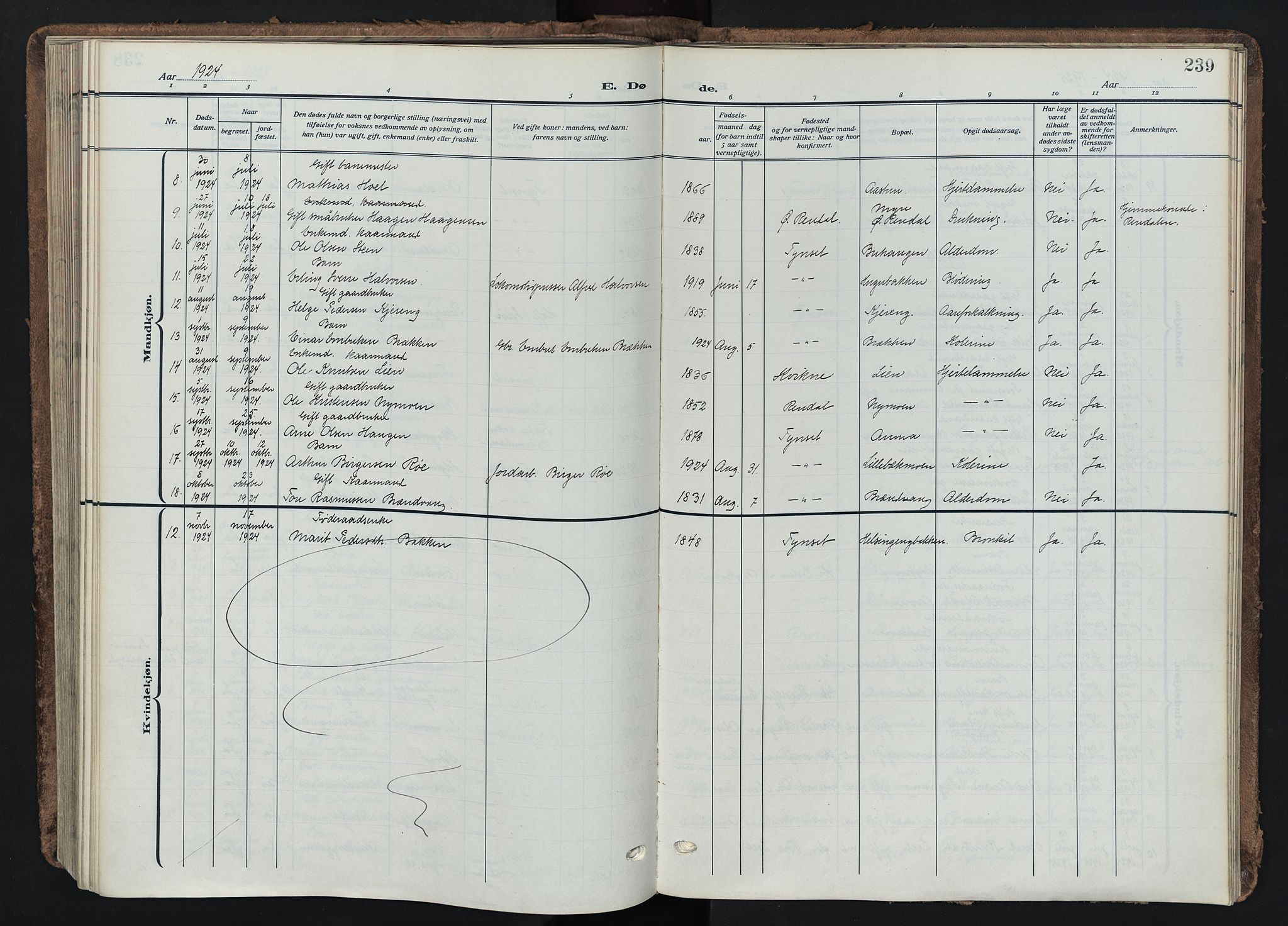 Tynset prestekontor, SAH/PREST-058/H/Ha/Haa/L0026: Parish register (official) no. 26, 1915-1929, p. 239