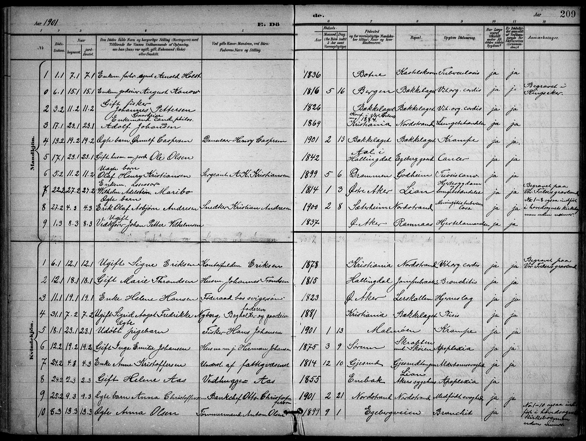 Nordstrand prestekontor Kirkebøker, SAO/A-10362a/F/Fa/L0001: Parish register (official) no. I 1, 1900-1914, p. 209