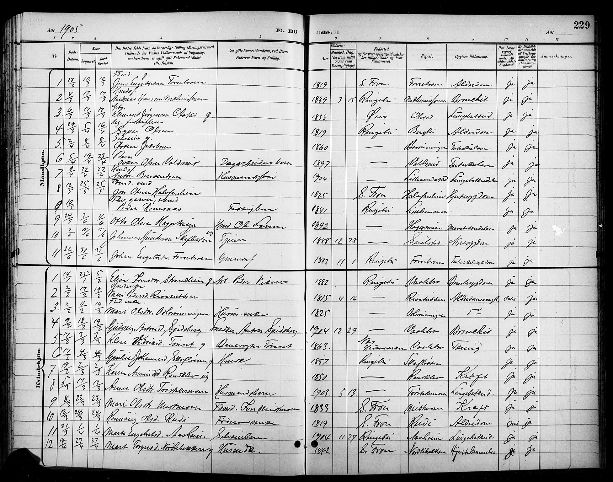 Ringebu prestekontor, AV/SAH-PREST-082/H/Ha/Hab/L0009: Parish register (copy) no. 9, 1899-1921, p. 229