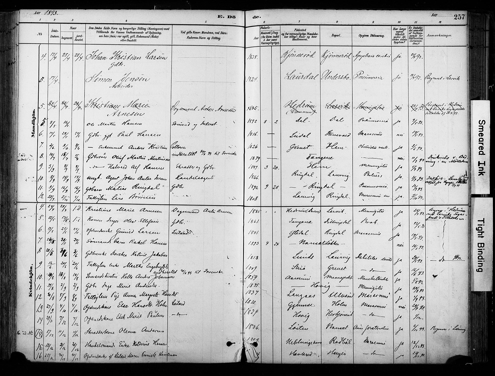 Hedrum kirkebøker, AV/SAKO-A-344/F/Fa/L0009: Parish register (official) no. I 9, 1881-1903, p. 257