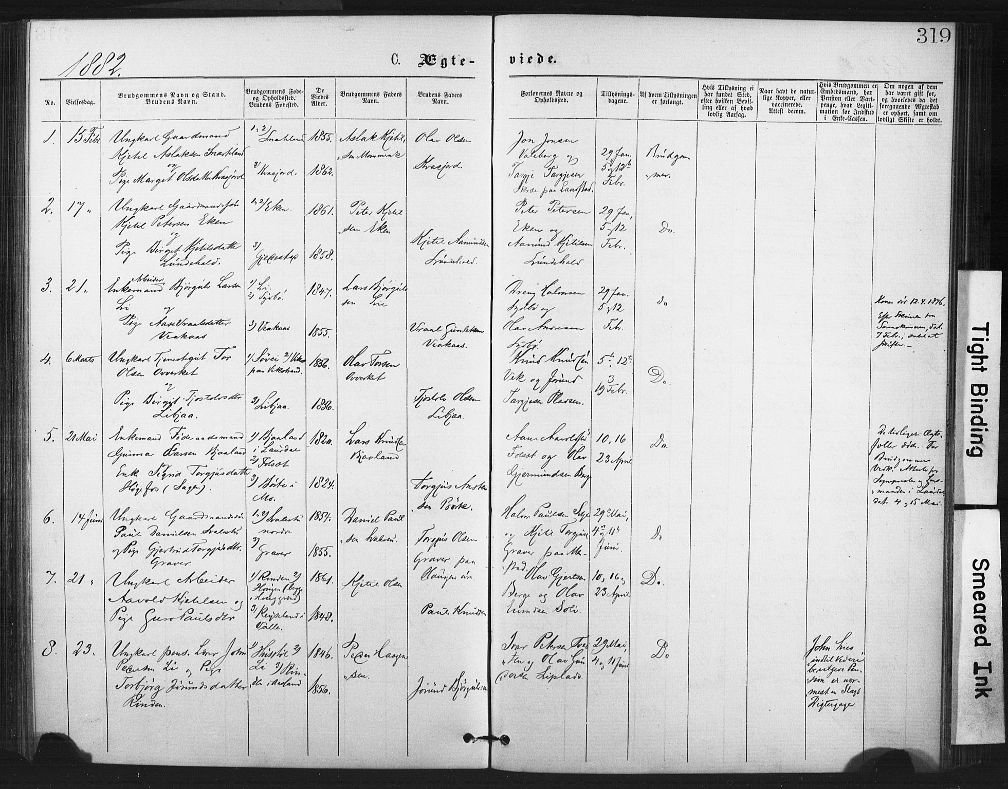 Fyresdal kirkebøker, SAKO/A-263/F/Fa/L0006: Parish register (official) no. I 6, 1872-1886, p. 319