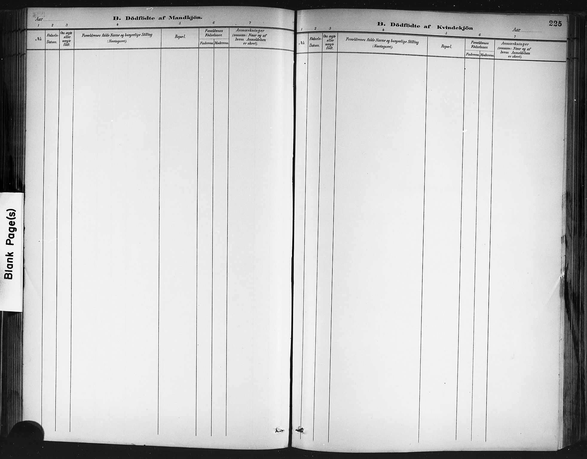 Porsgrunn kirkebøker , SAKO/A-104/G/Gb/L0005: Parish register (copy) no. II 5, 1883-1915, p. 225