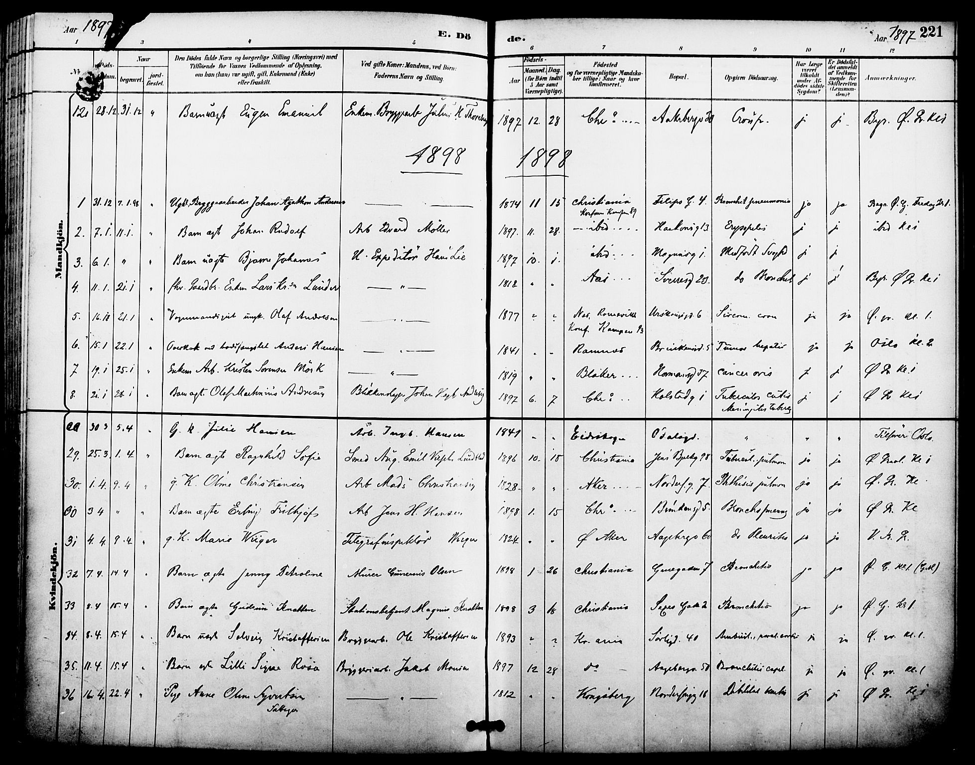 Kampen prestekontor Kirkebøker, SAO/A-10853/F/Fa/L0008: Parish register (official) no. I 8, 1892-1902, p. 221