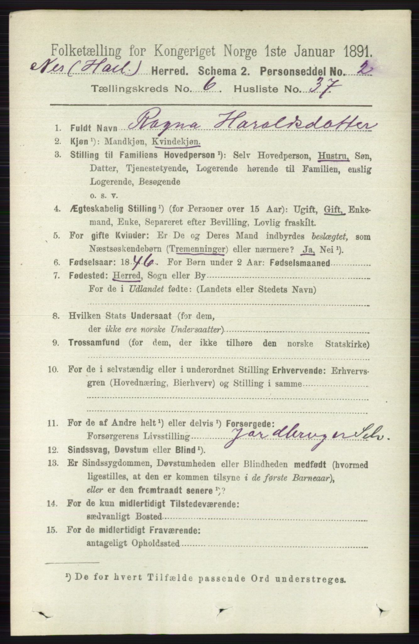 RA, 1891 census for 0616 Nes, 1891, p. 3245