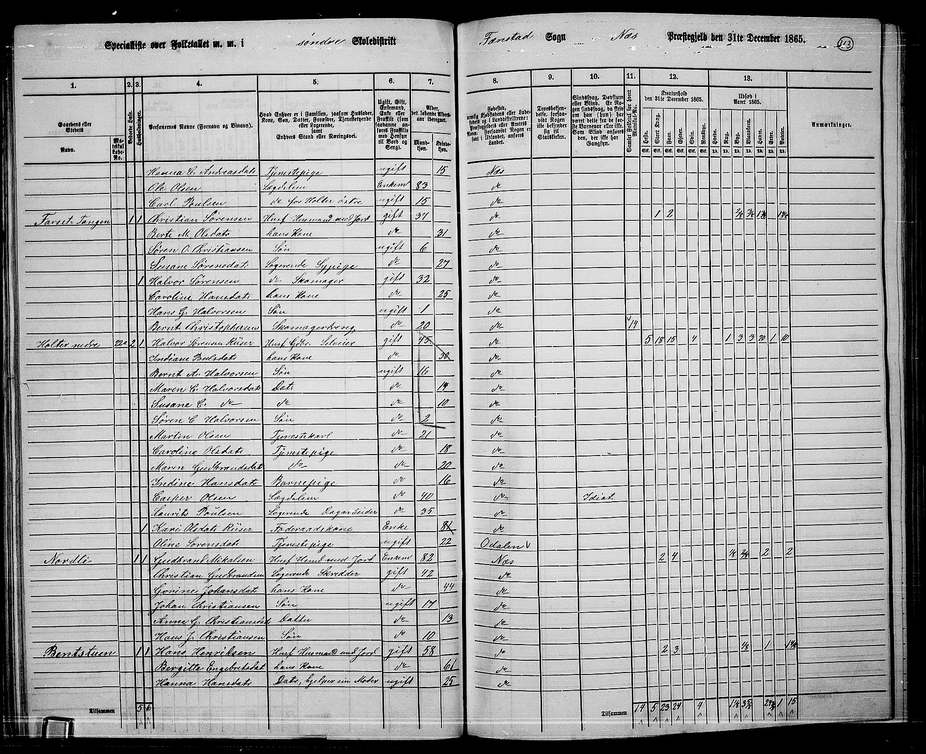 RA, 1865 census for Nes, 1865, p. 40