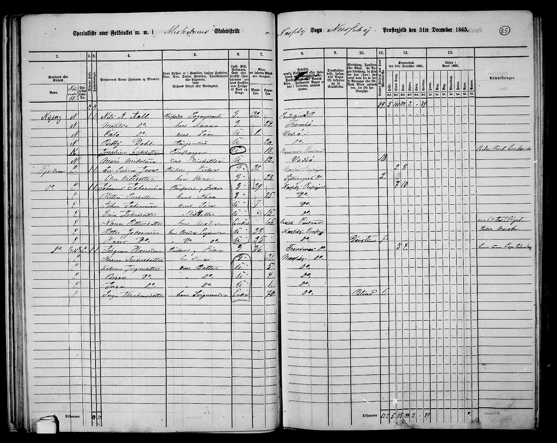 RA, 1865 census for Nesseby, 1865, p. 30