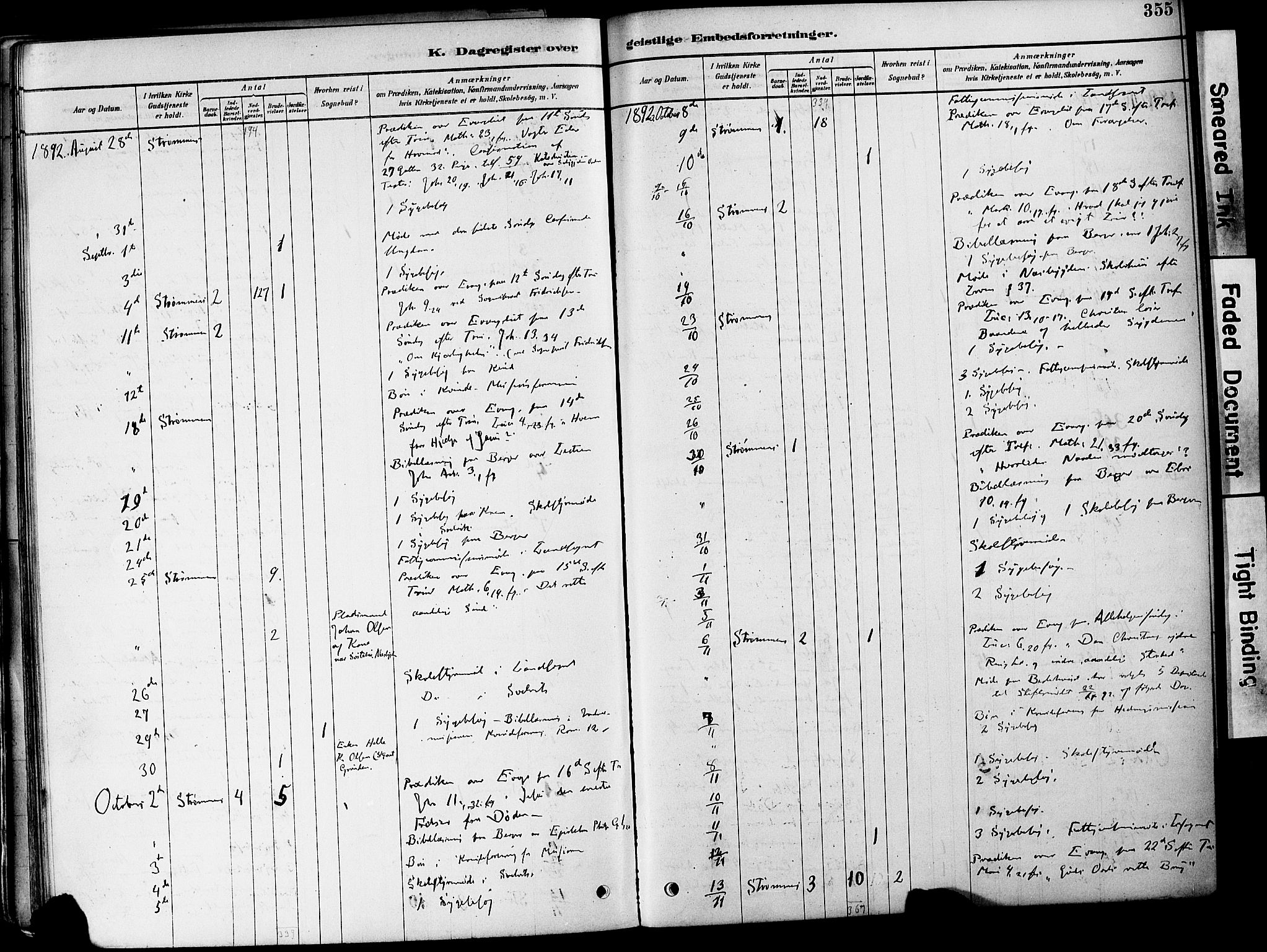 Strømm kirkebøker, AV/SAKO-A-322/F/Fa/L0004: Parish register (official) no. I 4, 1878-1899, p. 355