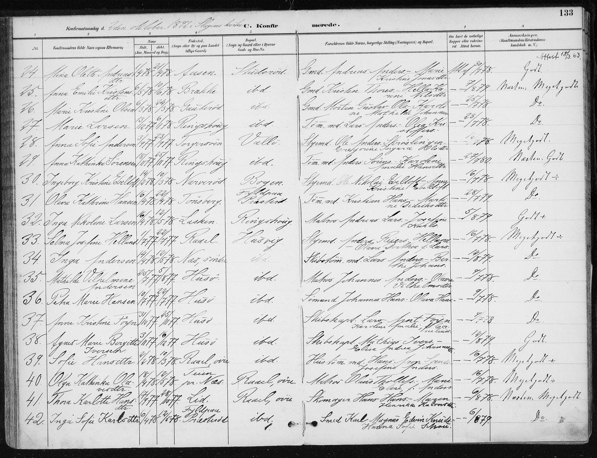 Sem kirkebøker, AV/SAKO-A-5/F/Fb/L0005: Parish register (official) no. II 5, 1892-1904, p. 133