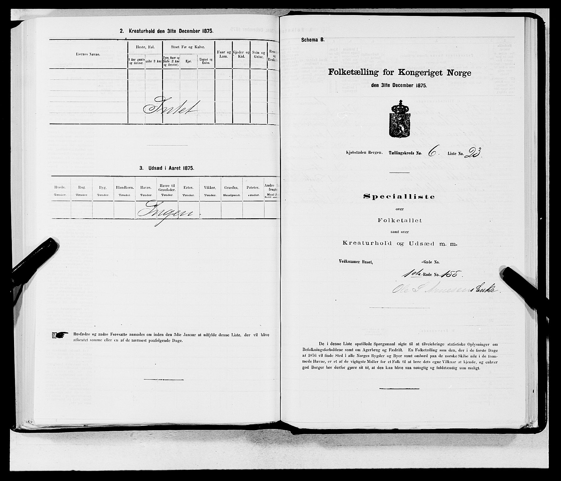 SAB, 1875 census for 1301 Bergen, 1875, p. 305