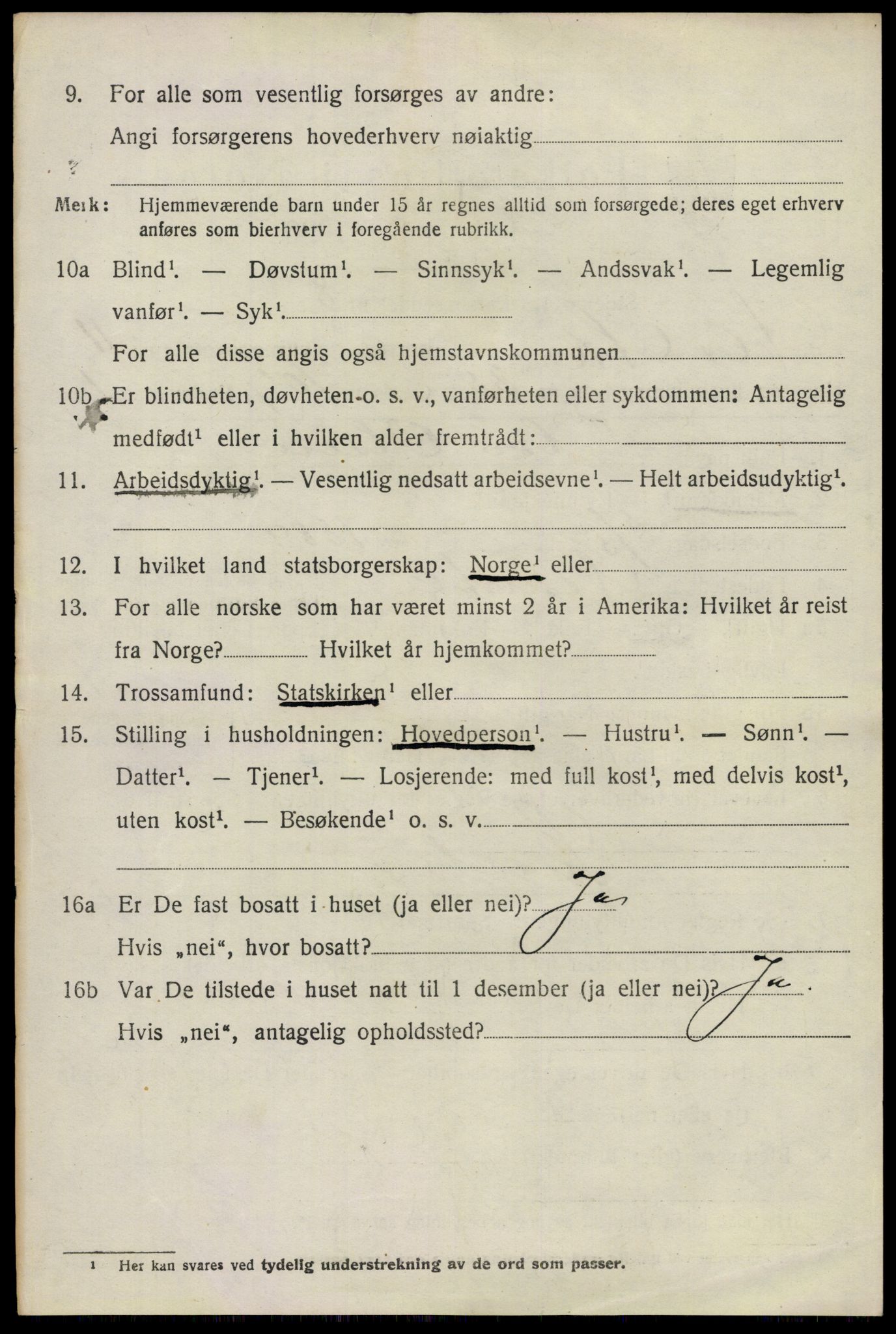 SAO, 1920 census for Nes, 1920, p. 11835