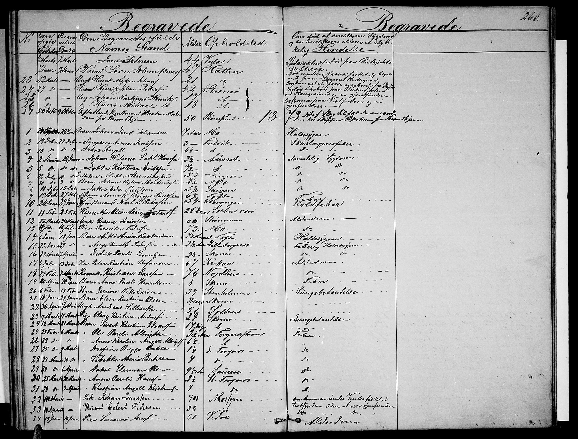 Ministerialprotokoller, klokkerbøker og fødselsregistre - Nordland, AV/SAT-A-1459/813/L0212: Parish register (copy) no. 813C04, 1864-1886, p. 260