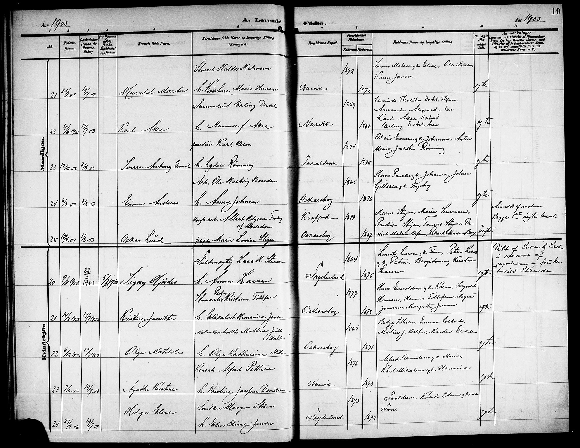 Ministerialprotokoller, klokkerbøker og fødselsregistre - Nordland, AV/SAT-A-1459/871/L1012: Parish register (copy) no. 871C01, 1902-1909, p. 19