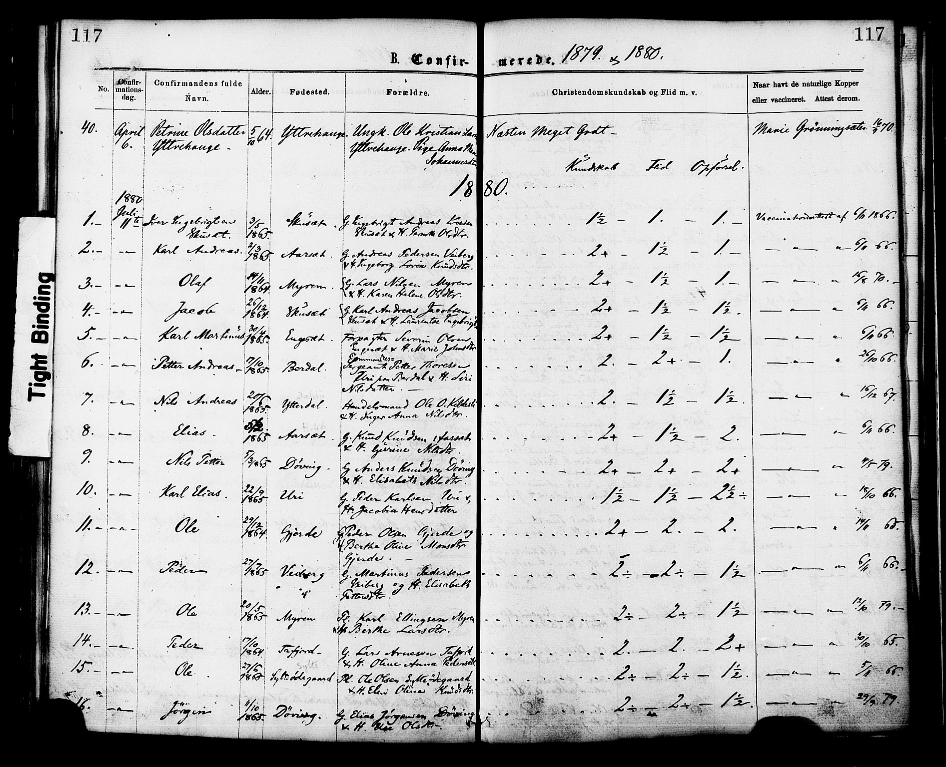 Ministerialprotokoller, klokkerbøker og fødselsregistre - Møre og Romsdal, SAT/A-1454/519/L0254: Parish register (official) no. 519A13, 1868-1883, p. 117