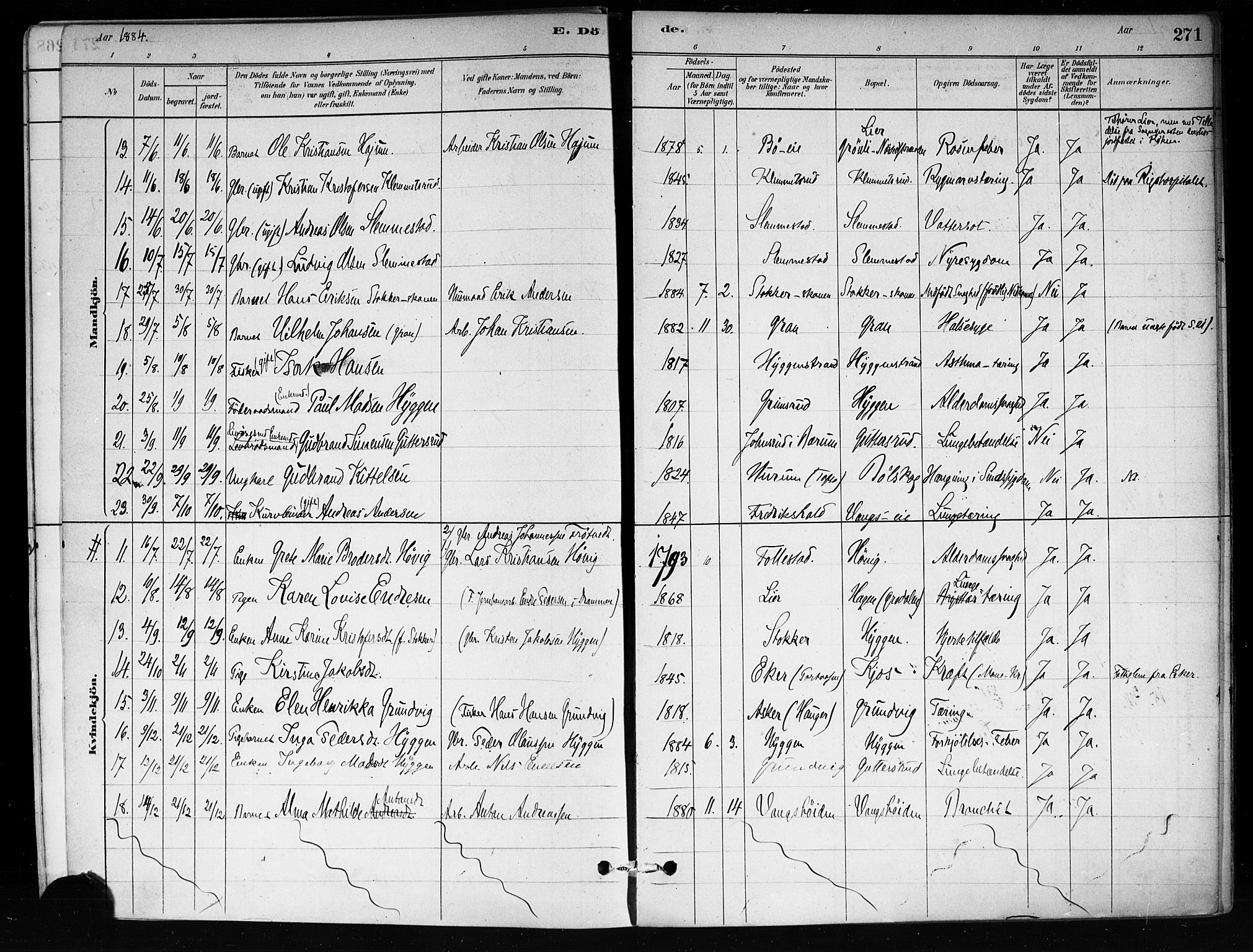 Røyken kirkebøker, AV/SAKO-A-241/F/Fa/L0008: Parish register (official) no. 8, 1880-1897, p. 271