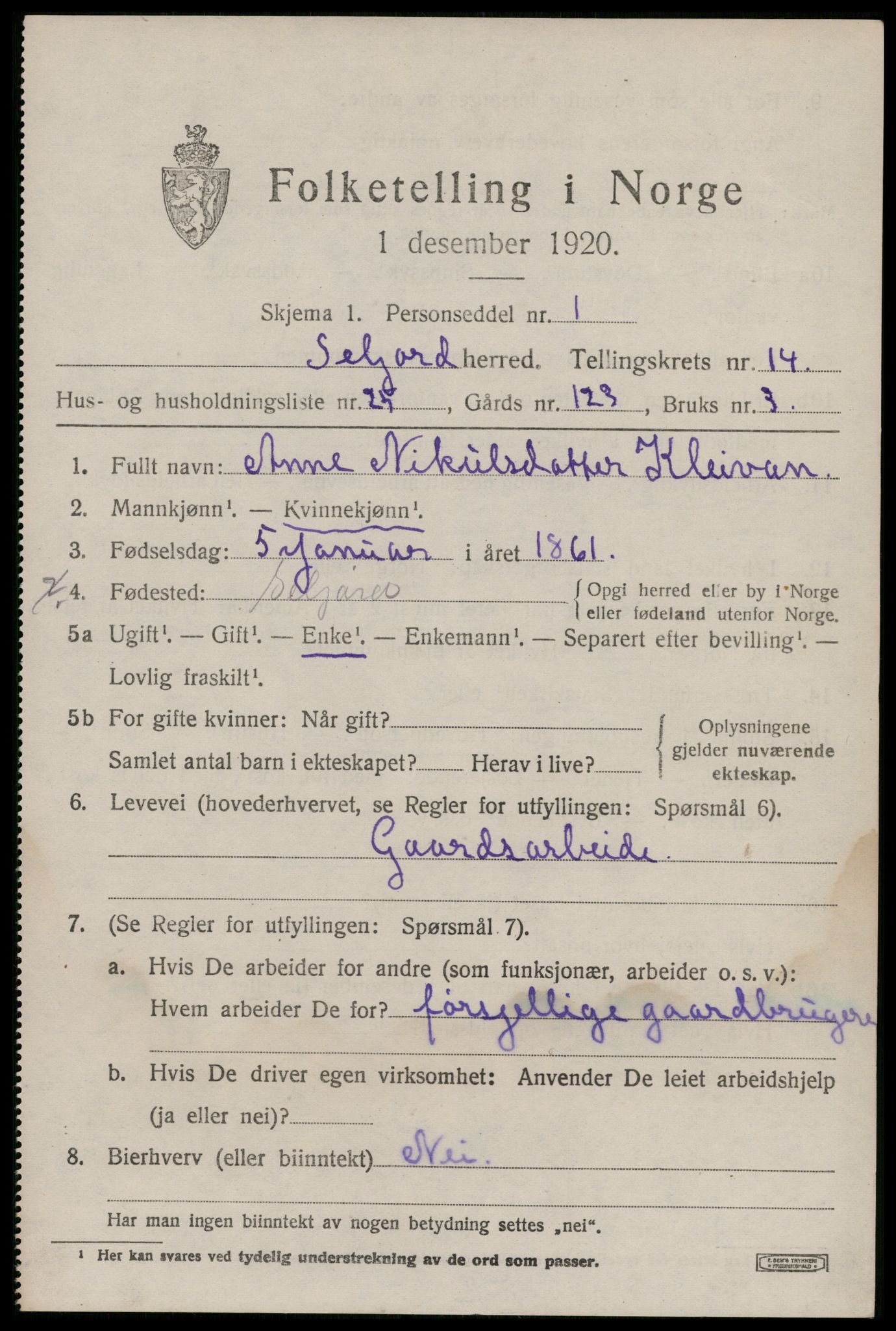 SAKO, 1920 census for Seljord, 1920, p. 6428