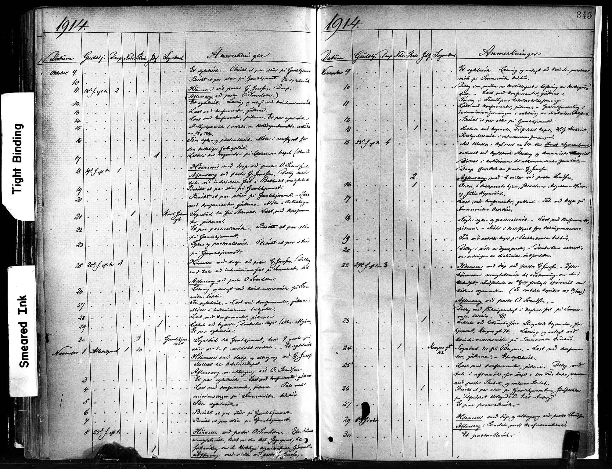 Ministerialprotokoller, klokkerbøker og fødselsregistre - Sør-Trøndelag, SAT/A-1456/602/L0119: Parish register (official) no. 602A17, 1880-1901, p. 345