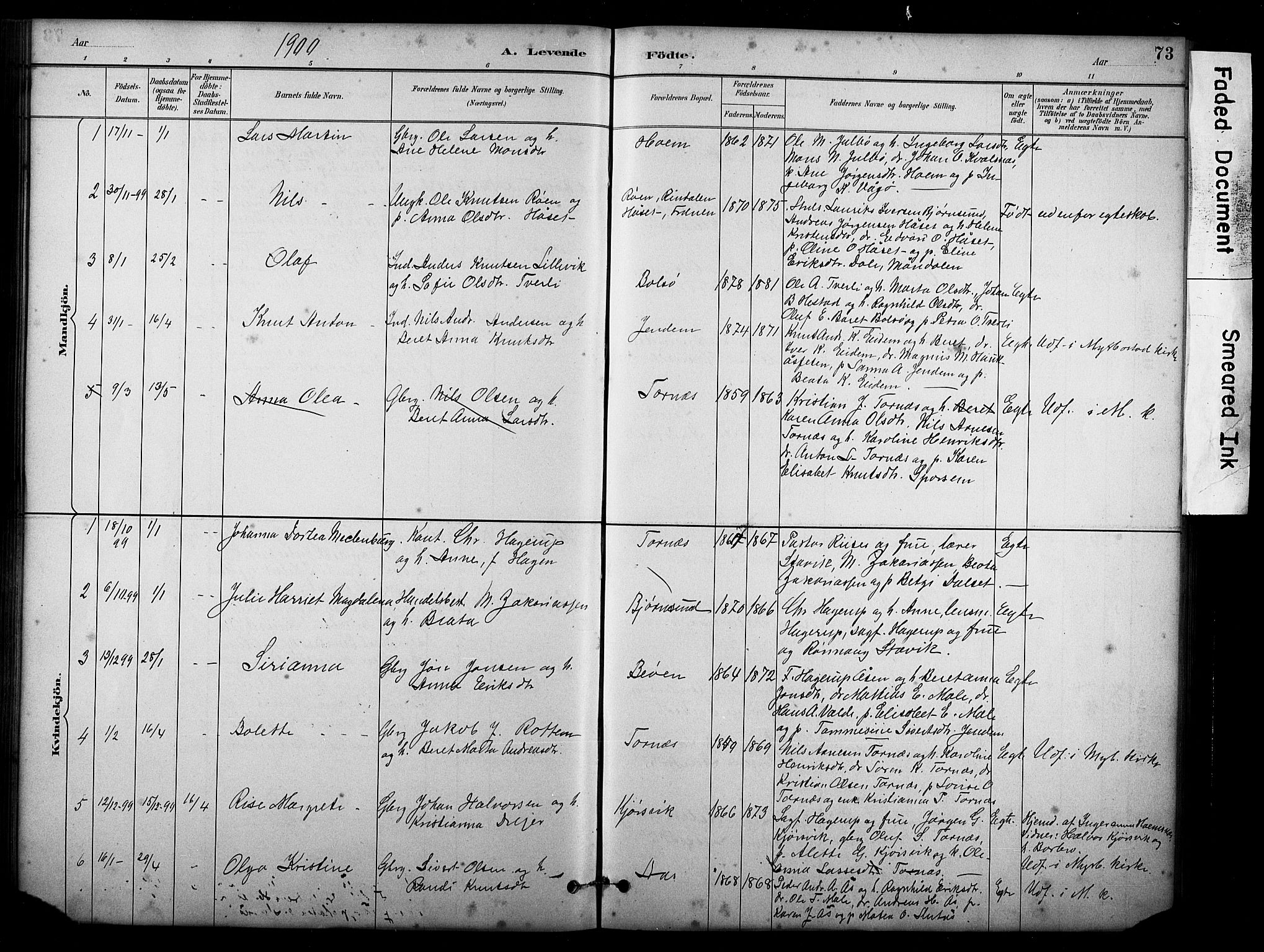 Ministerialprotokoller, klokkerbøker og fødselsregistre - Møre og Romsdal, SAT/A-1454/565/L0755: Parish register (copy) no. 565C04, 1883-1903, p. 73