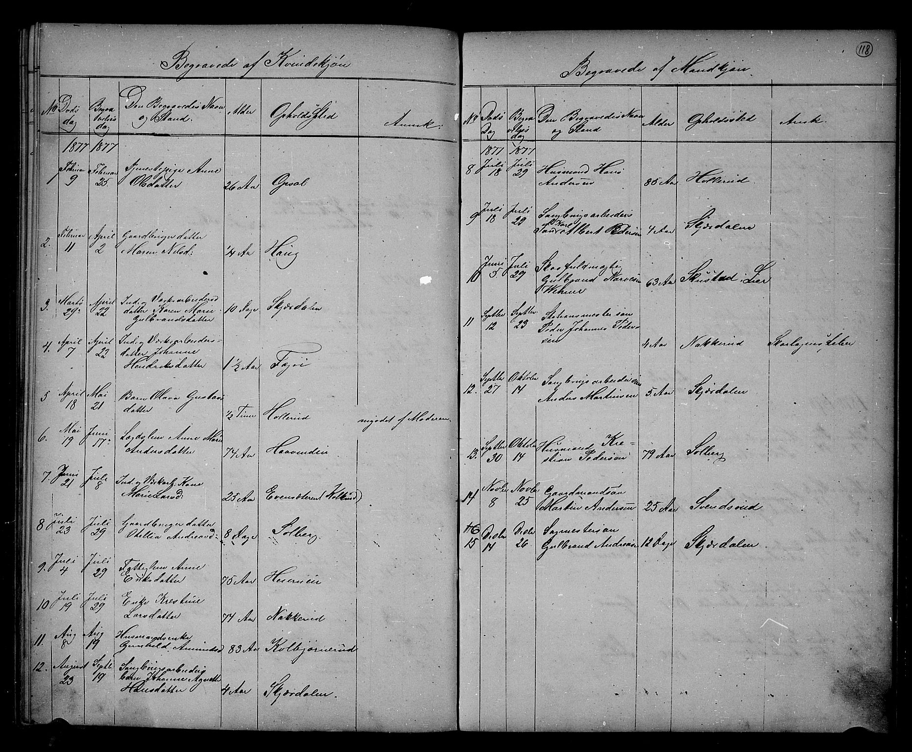 Hole kirkebøker, SAKO/A-228/G/Gb/L0001: Parish register (copy) no. II 1, 1859-1878, p. 118