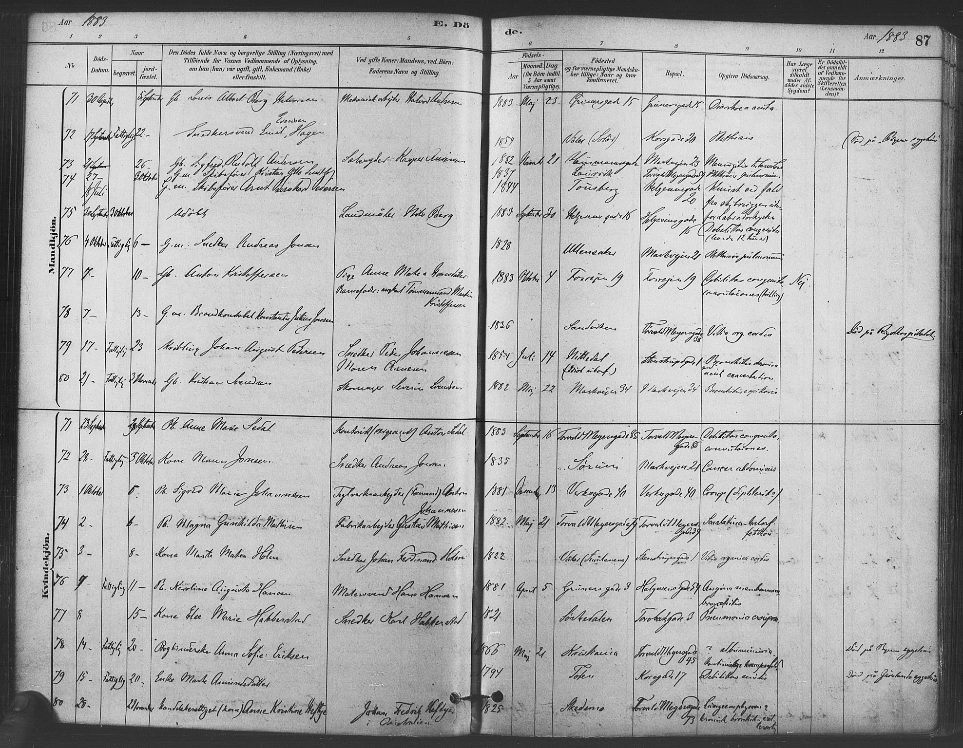 Paulus prestekontor Kirkebøker, AV/SAO-A-10871/F/Fa/L0005: Parish register (official) no. 5, 1879-1889, p. 87