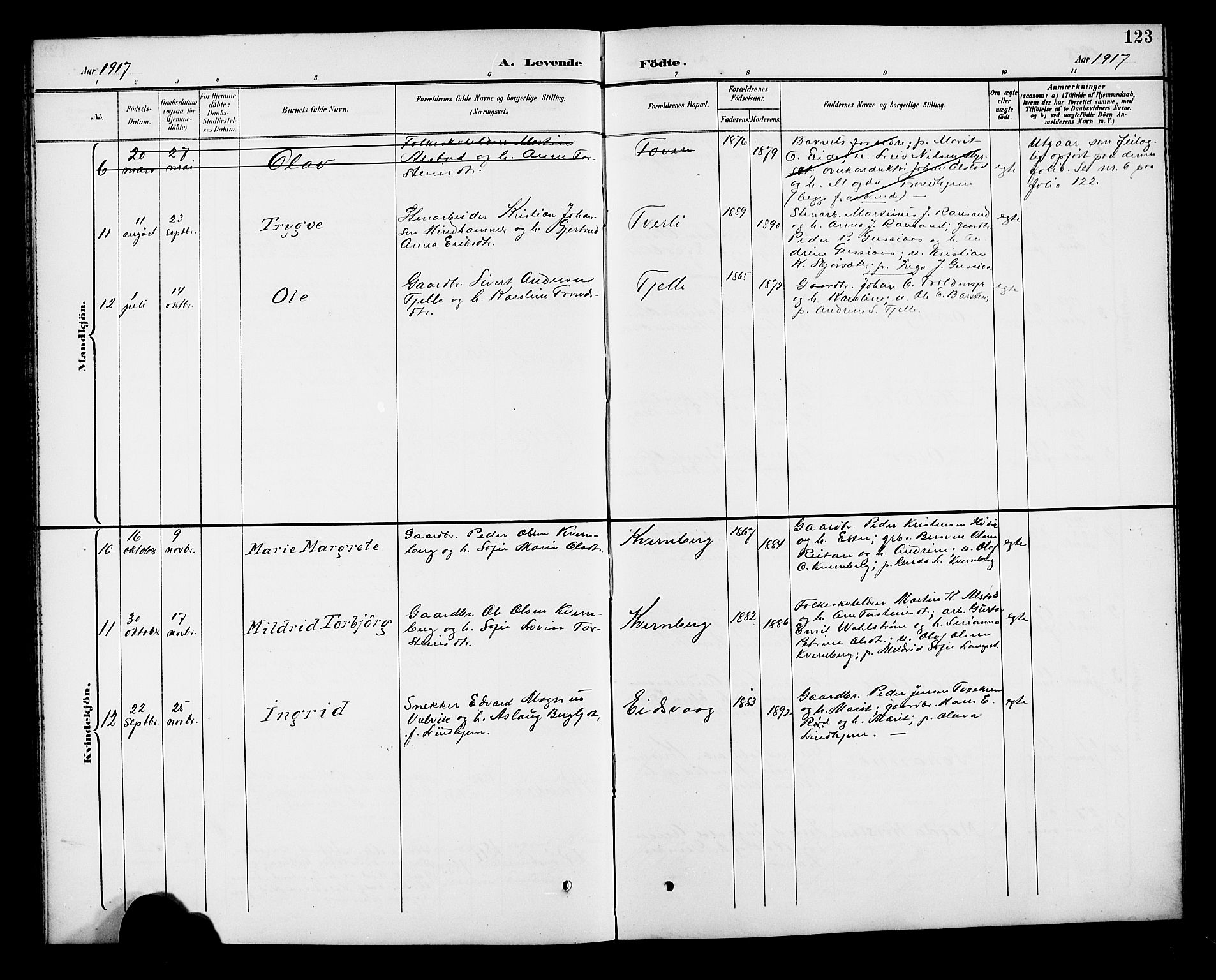 Ministerialprotokoller, klokkerbøker og fødselsregistre - Møre og Romsdal, AV/SAT-A-1454/551/L0632: Parish register (copy) no. 551C04, 1894-1920, p. 123