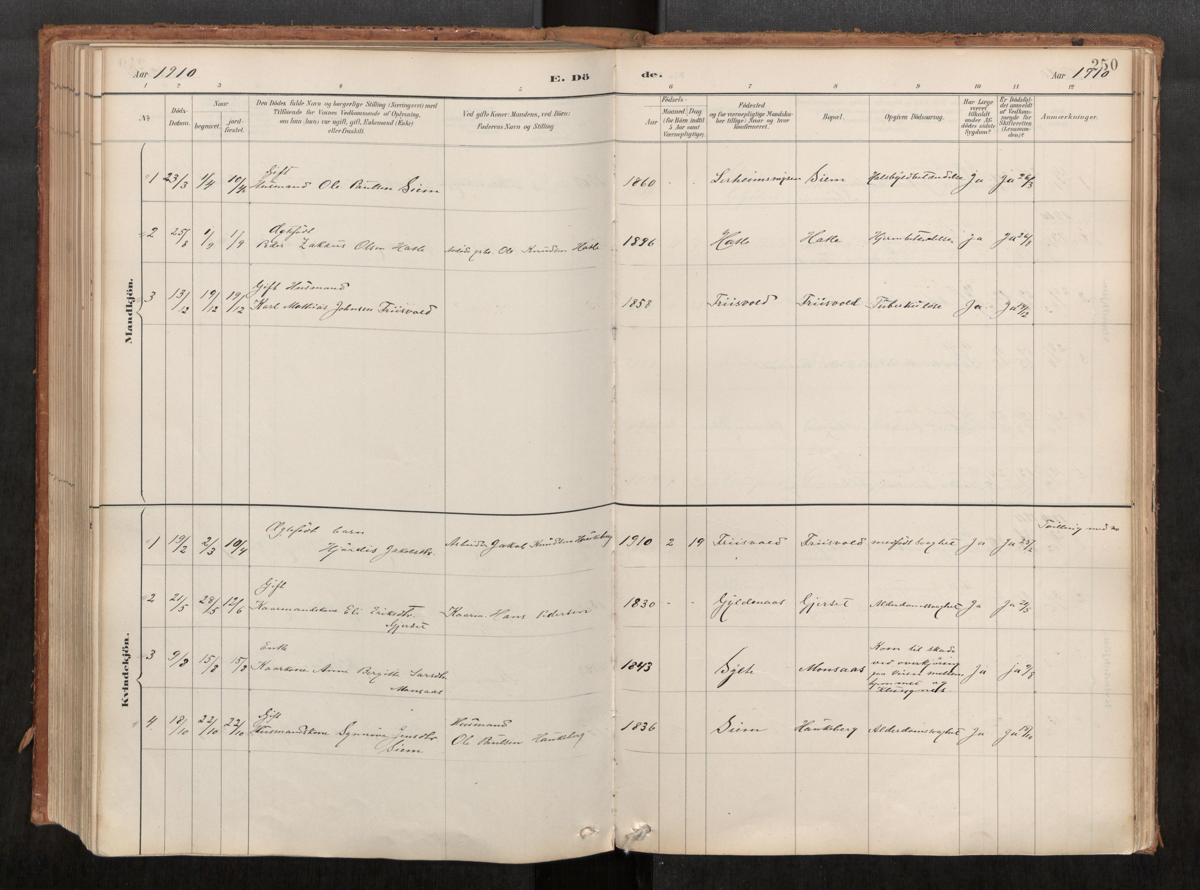 Ministerialprotokoller, klokkerbøker og fødselsregistre - Møre og Romsdal, SAT/A-1454/542/L0553: Parish register (official) no. 542A03, 1885-1925, p. 250