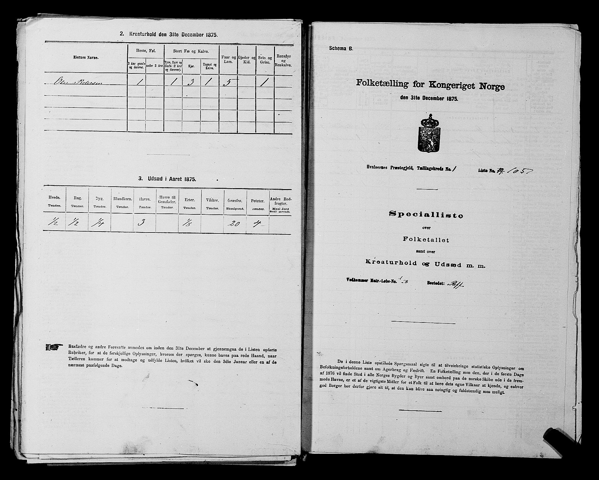 RA, 1875 census for 0111P Hvaler, 1875, p. 241