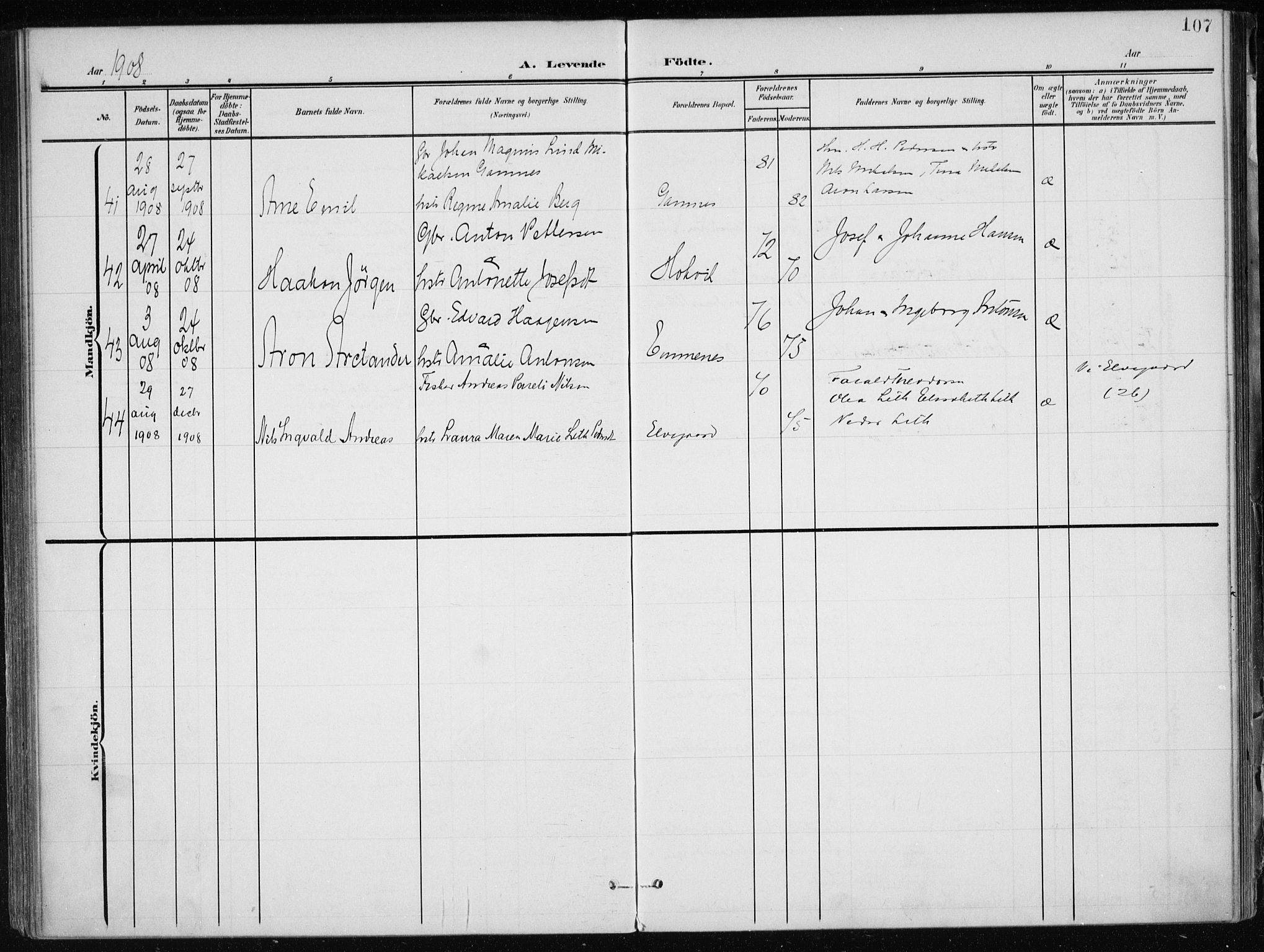 Ministerialprotokoller, klokkerbøker og fødselsregistre - Nordland, AV/SAT-A-1459/866/L0941: Parish register (official) no. 866A04, 1901-1917, p. 107